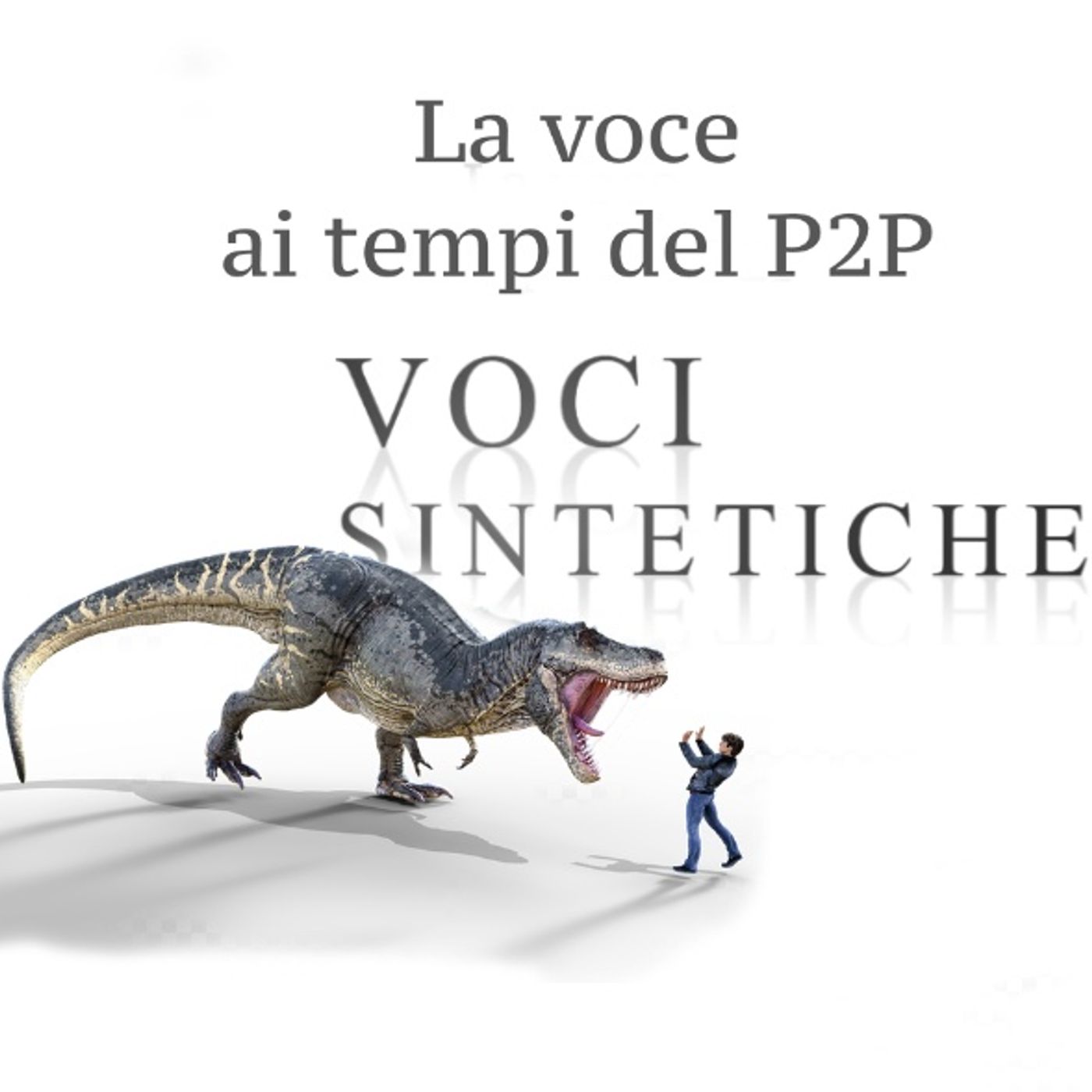 Voice Talent Life - Vita da Speaker