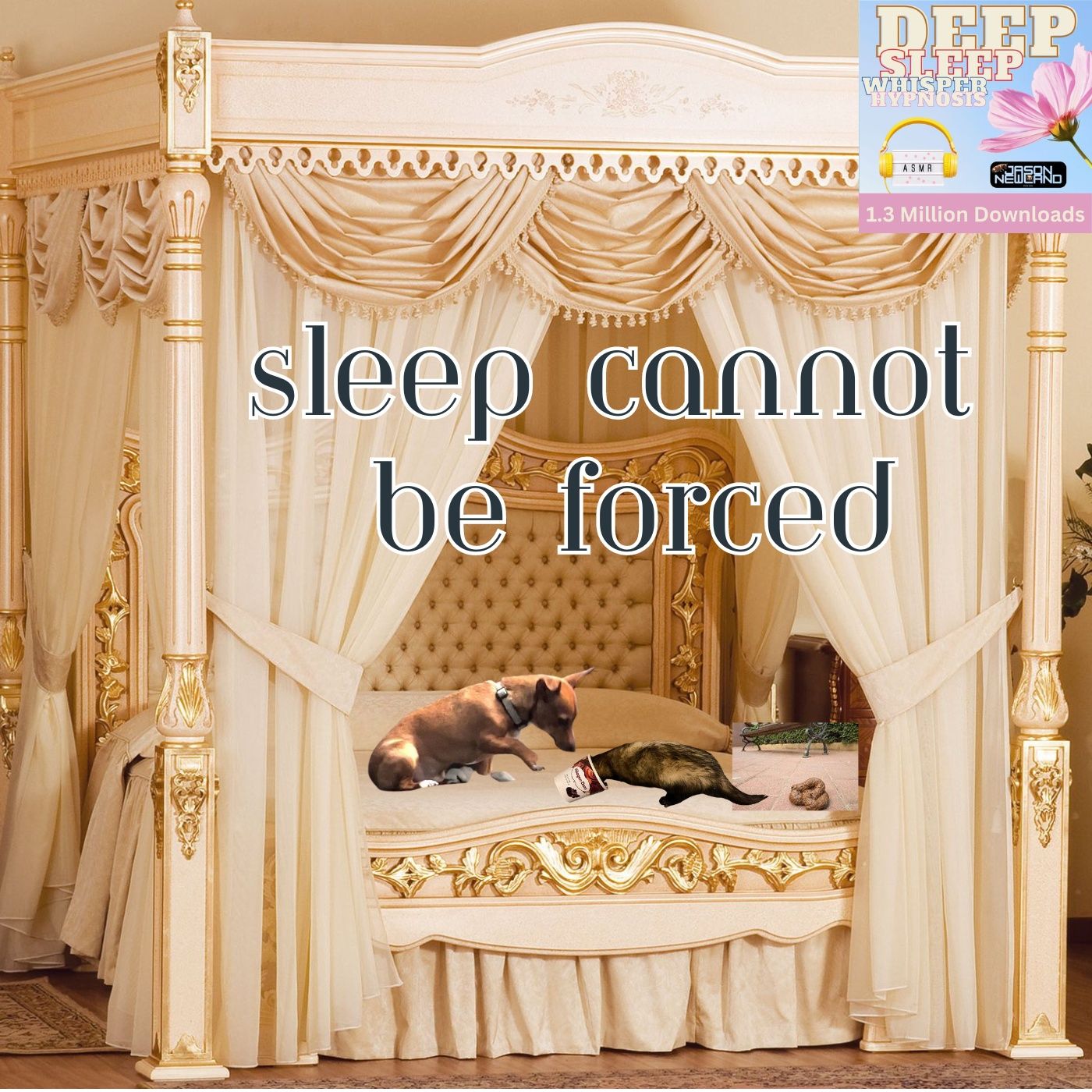 #513 (ASMR) Sleep cannot be forced - Deep Sleep Whisper Hypnosis