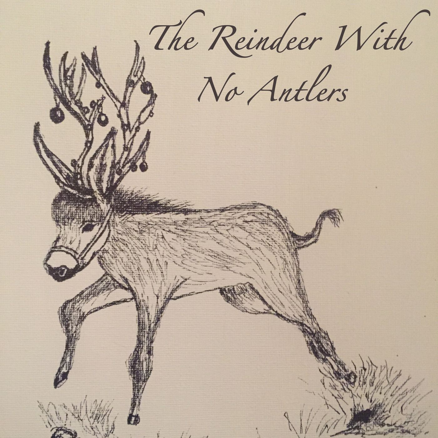 The Reindeer With No Antlers