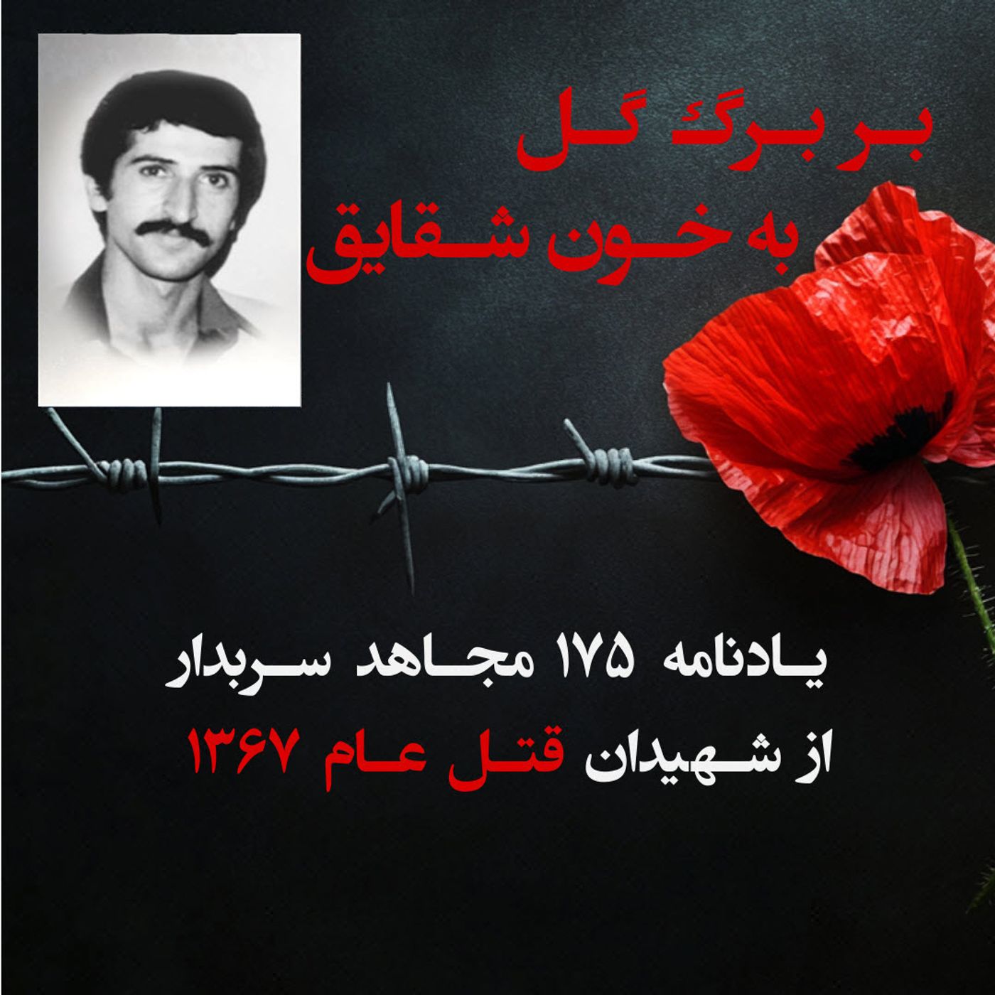 بربرگ گل به خون شقایق- محسن بهرامی