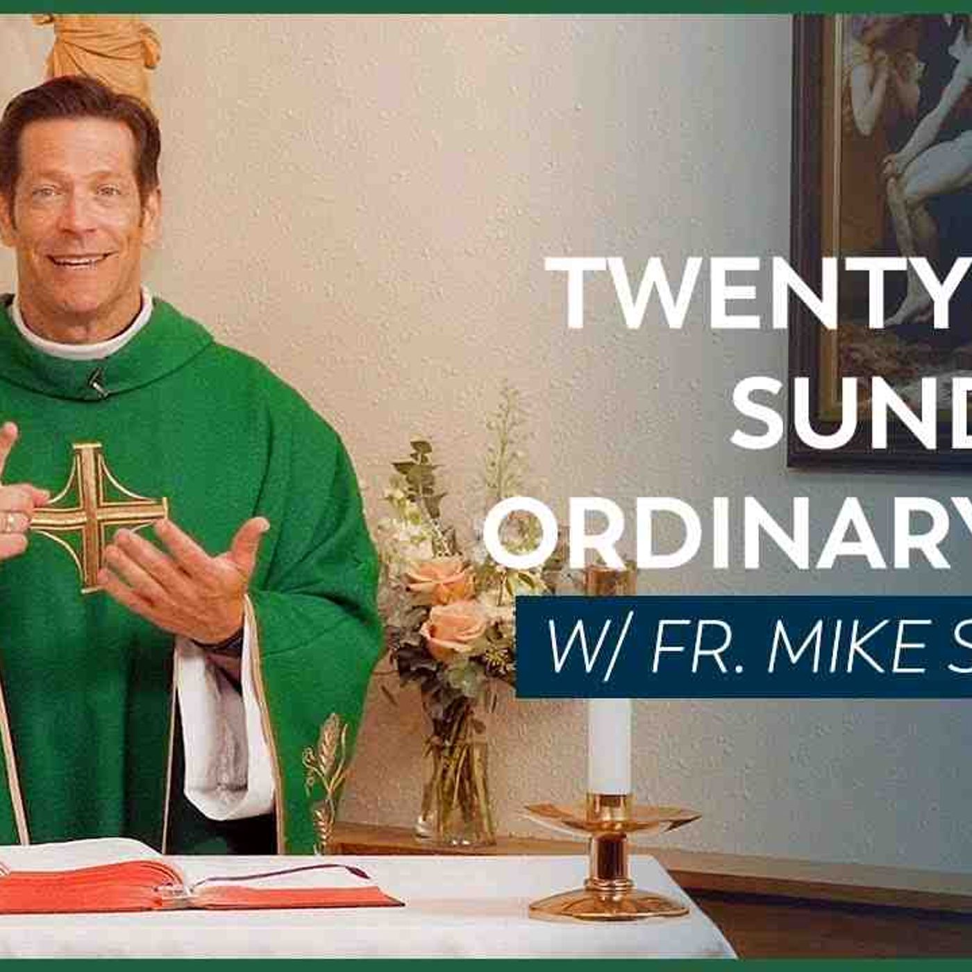 Twenty-first Sunday in Ordinary Time - Mass with Fr. Mike Schmitz(MP3_160K)