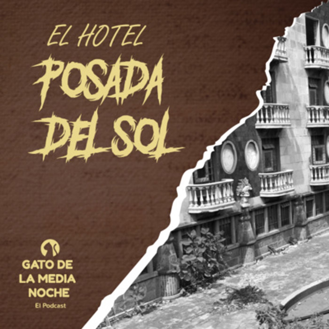 Gato de la Media Noche