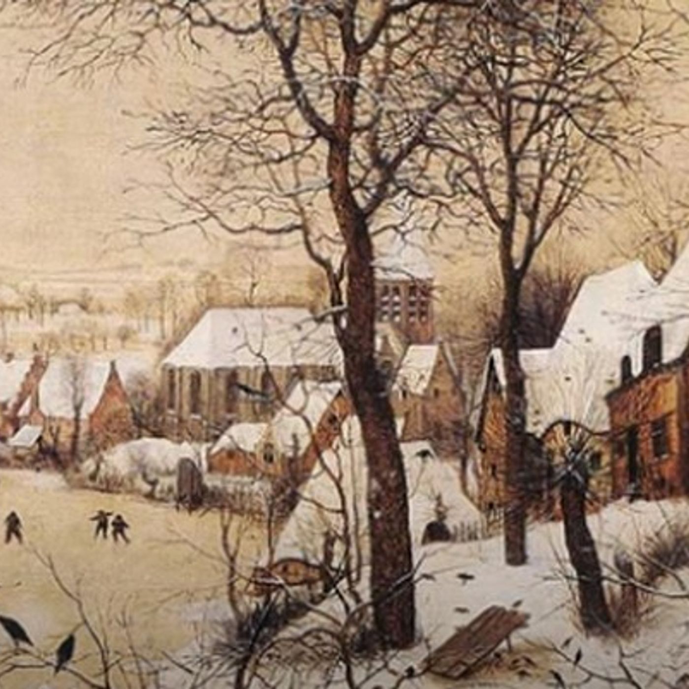 Tracce di Domenico Tota