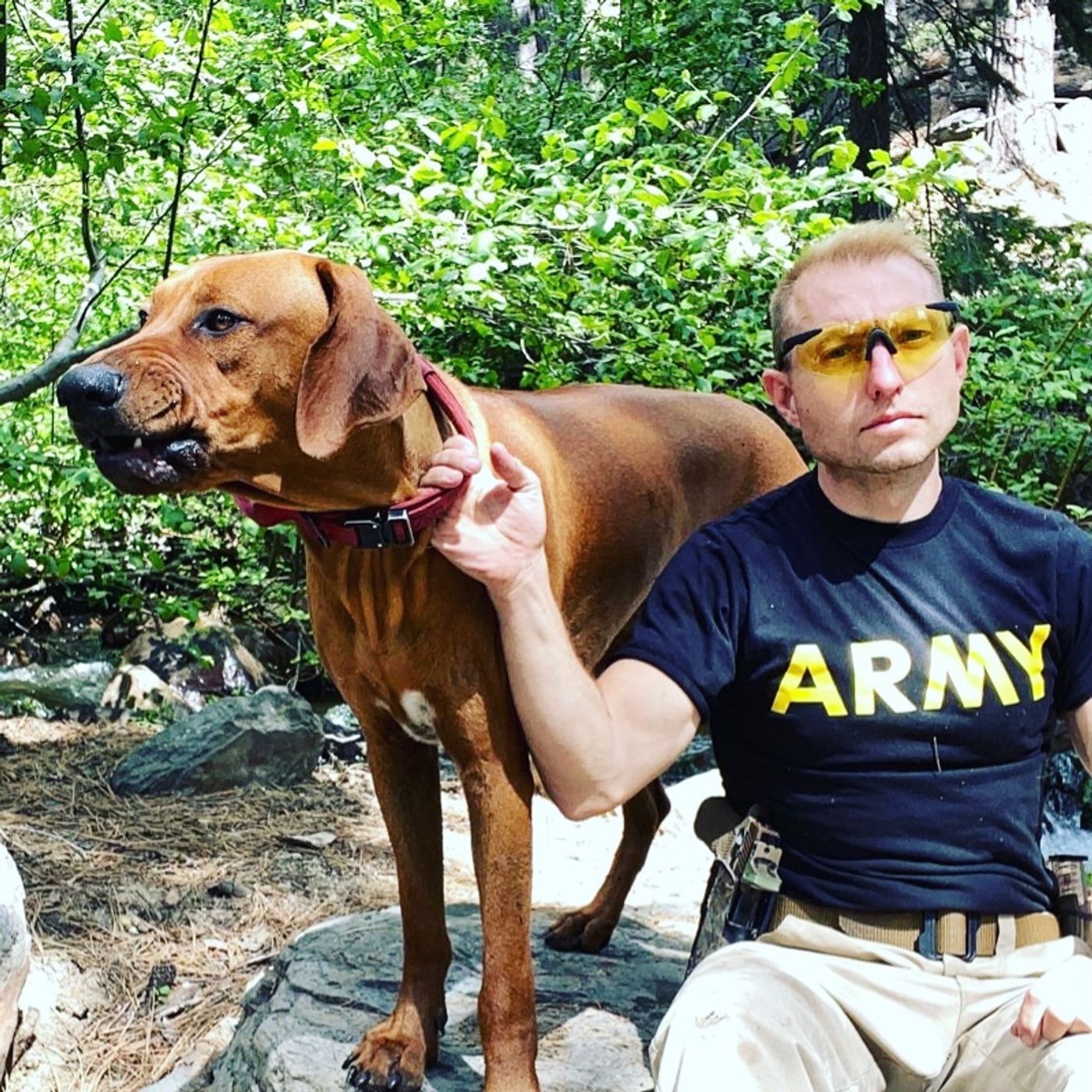 Manly Dog Rhodesian Ridgeback - Best Survival Dog ? Athletic Regal Hound Hunting / Guard Dog