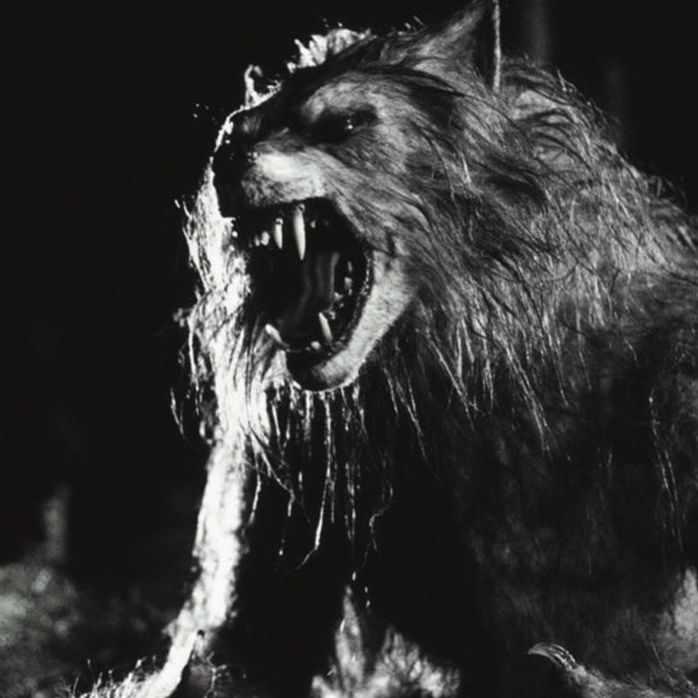 El Capataz De Mi Abuelo Se Convertía En Nahual Historias De Terror - REDE