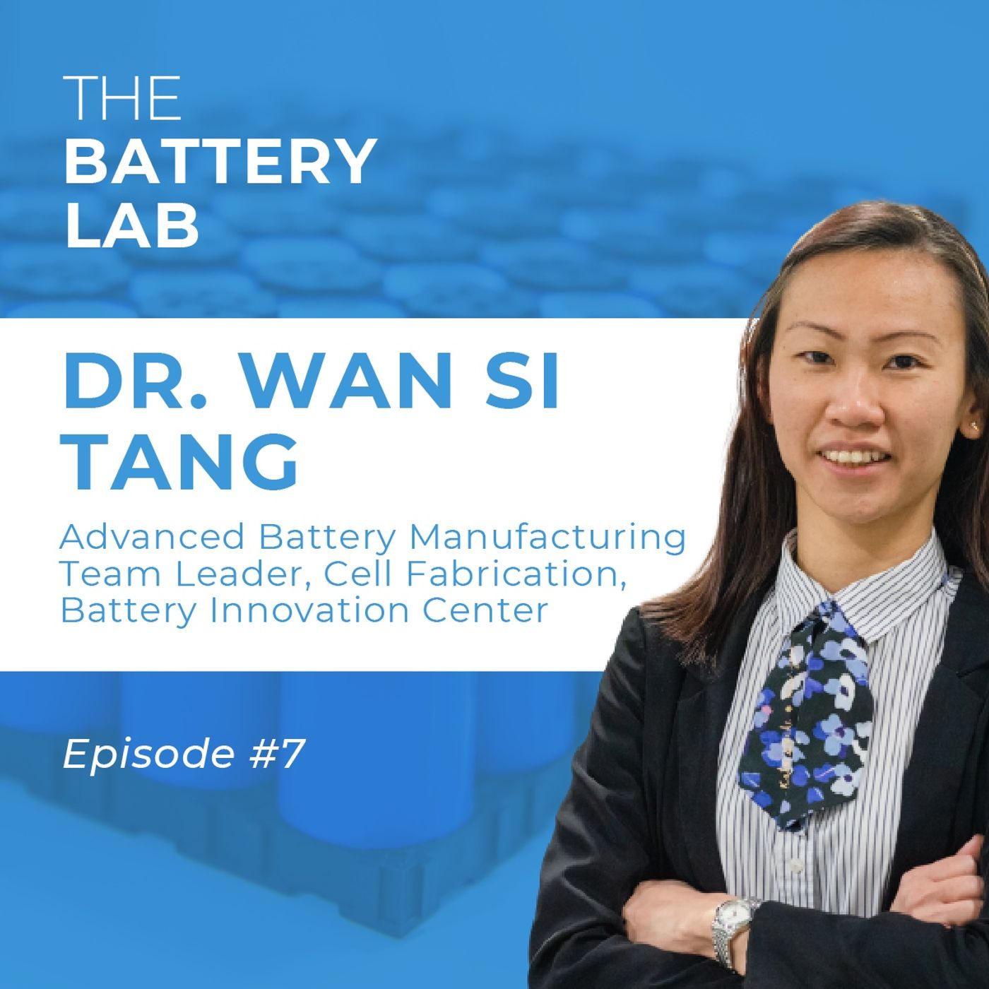 The Battery Lab