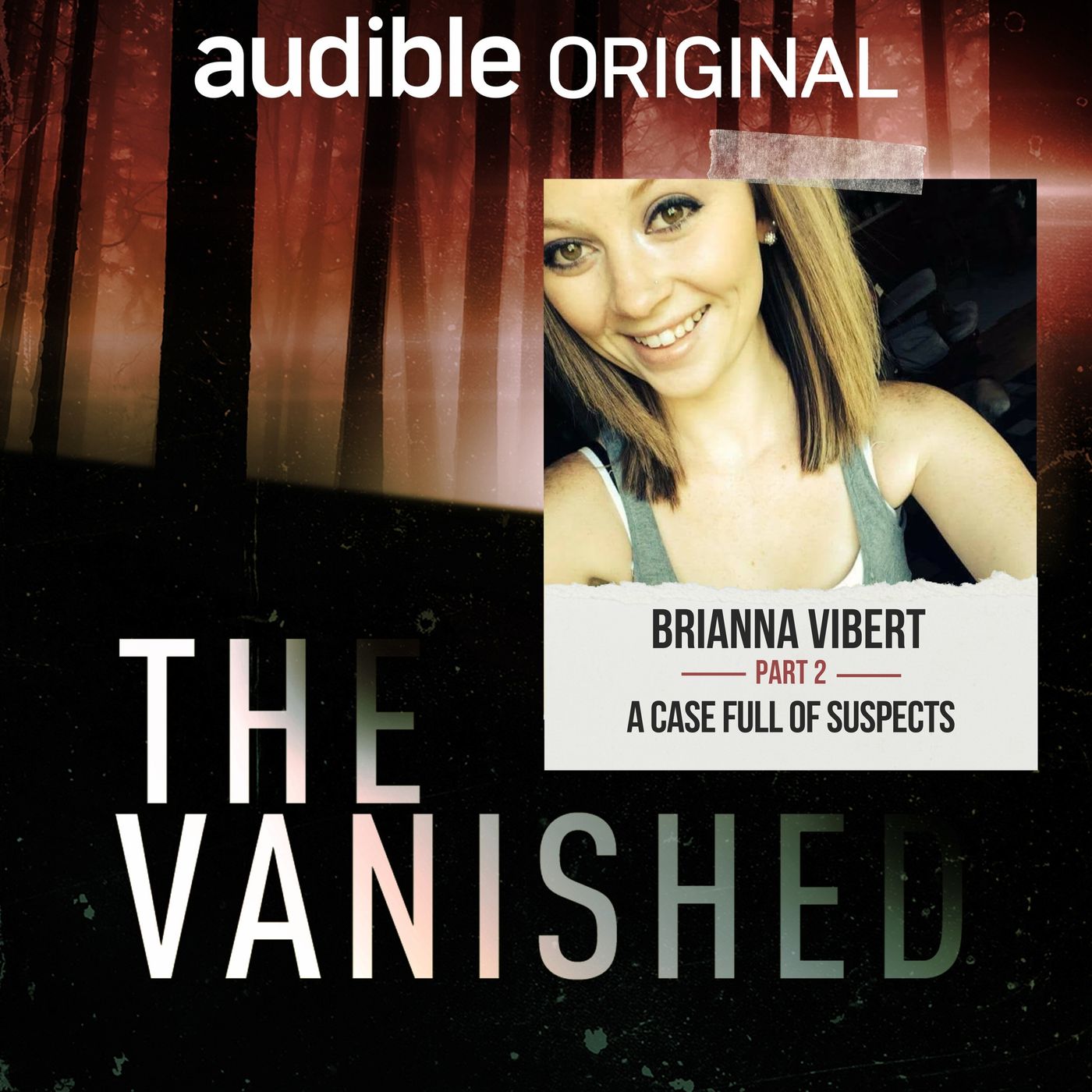 Brianna Vibert Part 2: A Case Full of Suspects episode artwork