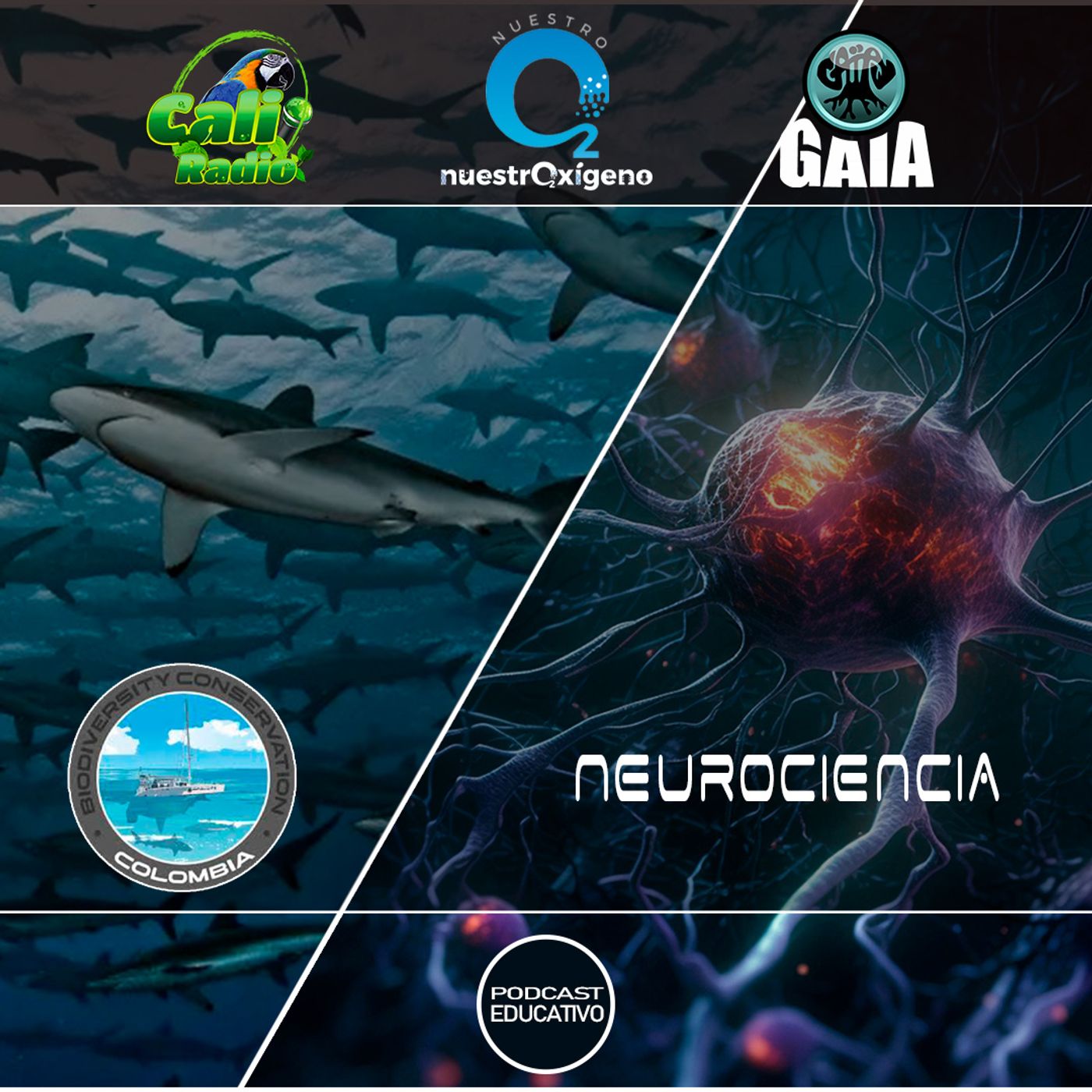 2025 Nuestro Oxigeno 04- Abril