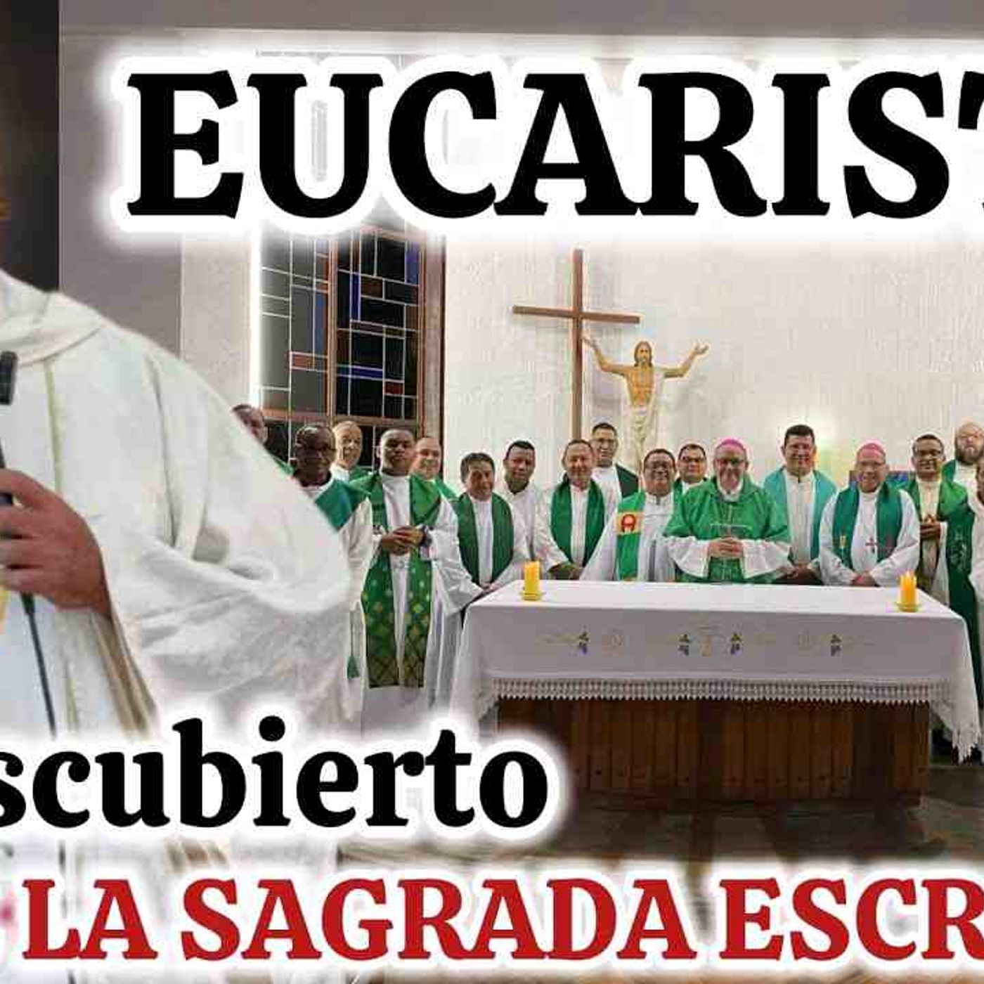Como DESMOSTRARLE a Un PROTESTANTE Que CRISTO está en La EUCARISTÍA😳 Padre Luis Toro _36-2025(MP3_160K) episode artwork