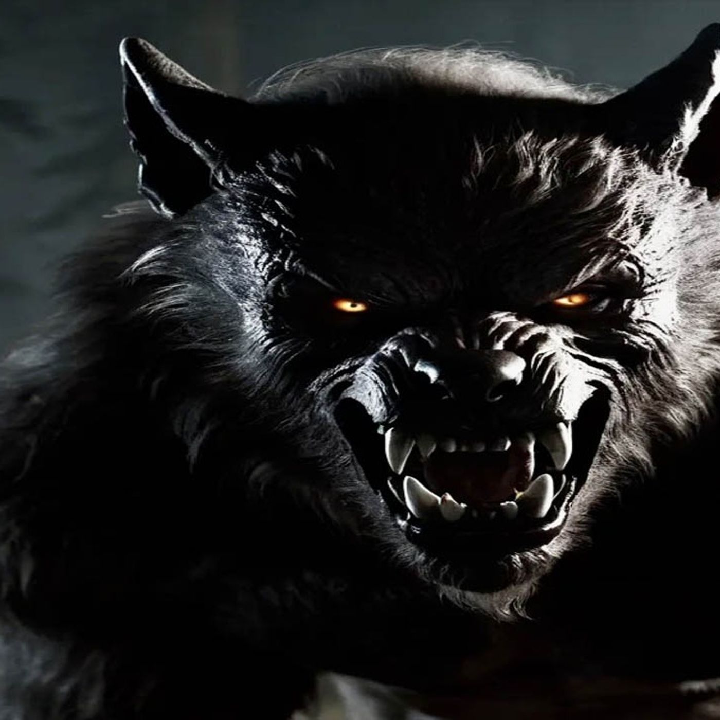 Se Que Eso No Era Un Perro Historias De Terror - Voces De La Noche