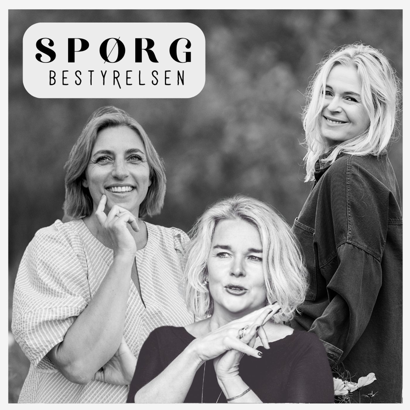 Spørg Bestyrelsen af Cecilie Gredal