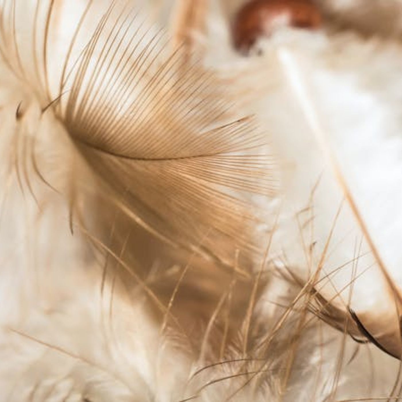 Do Angels Carry Our Prayers to God?