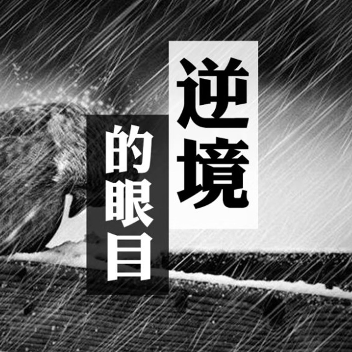 逆境的眼目| Jim Cheung episode artwork