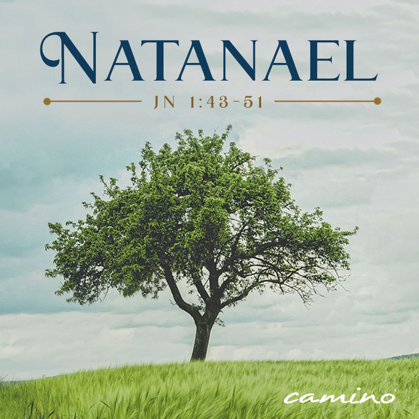 Oración 7 de agosto (Natanael) episode artwork