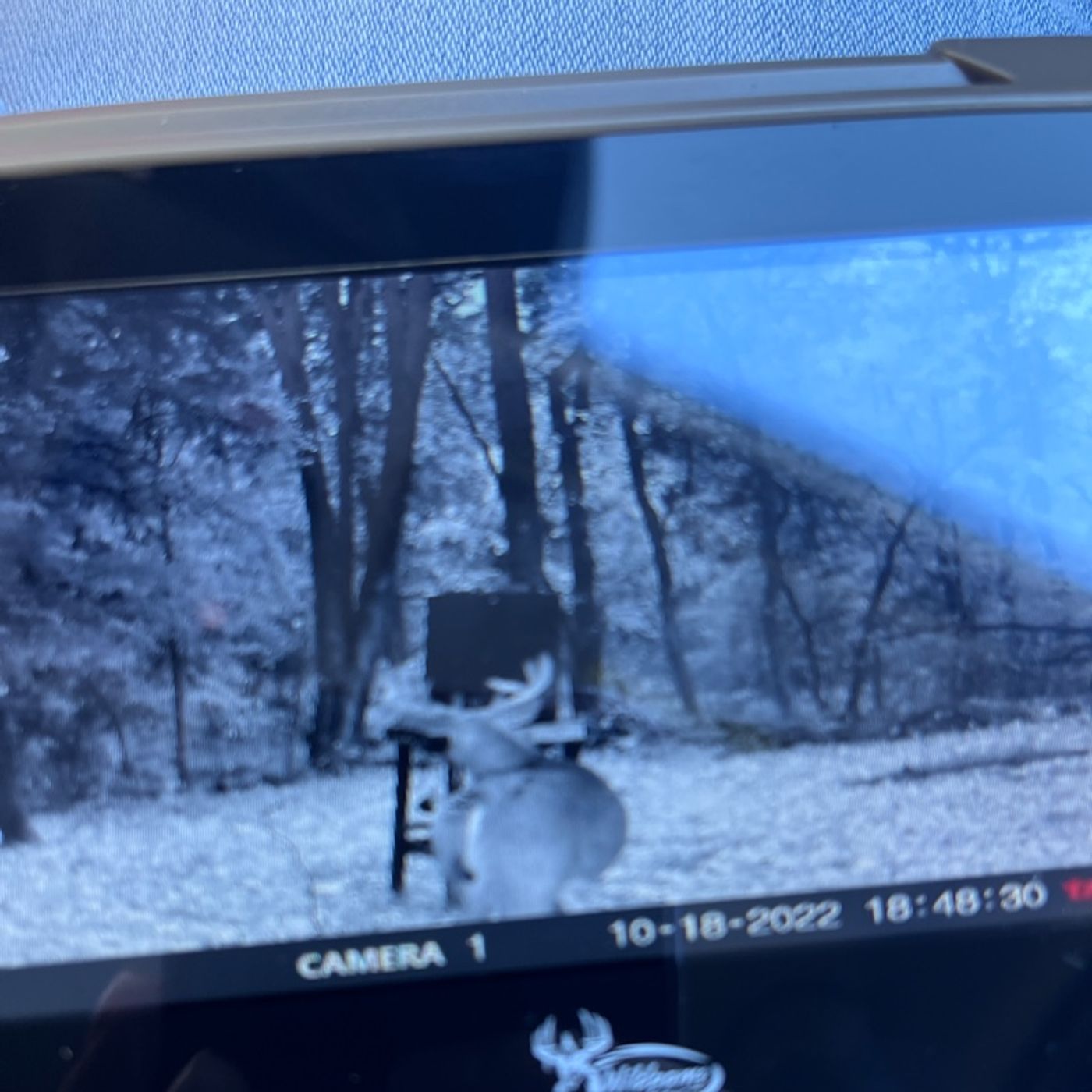 Episode 2 - October Lull and rut preparation