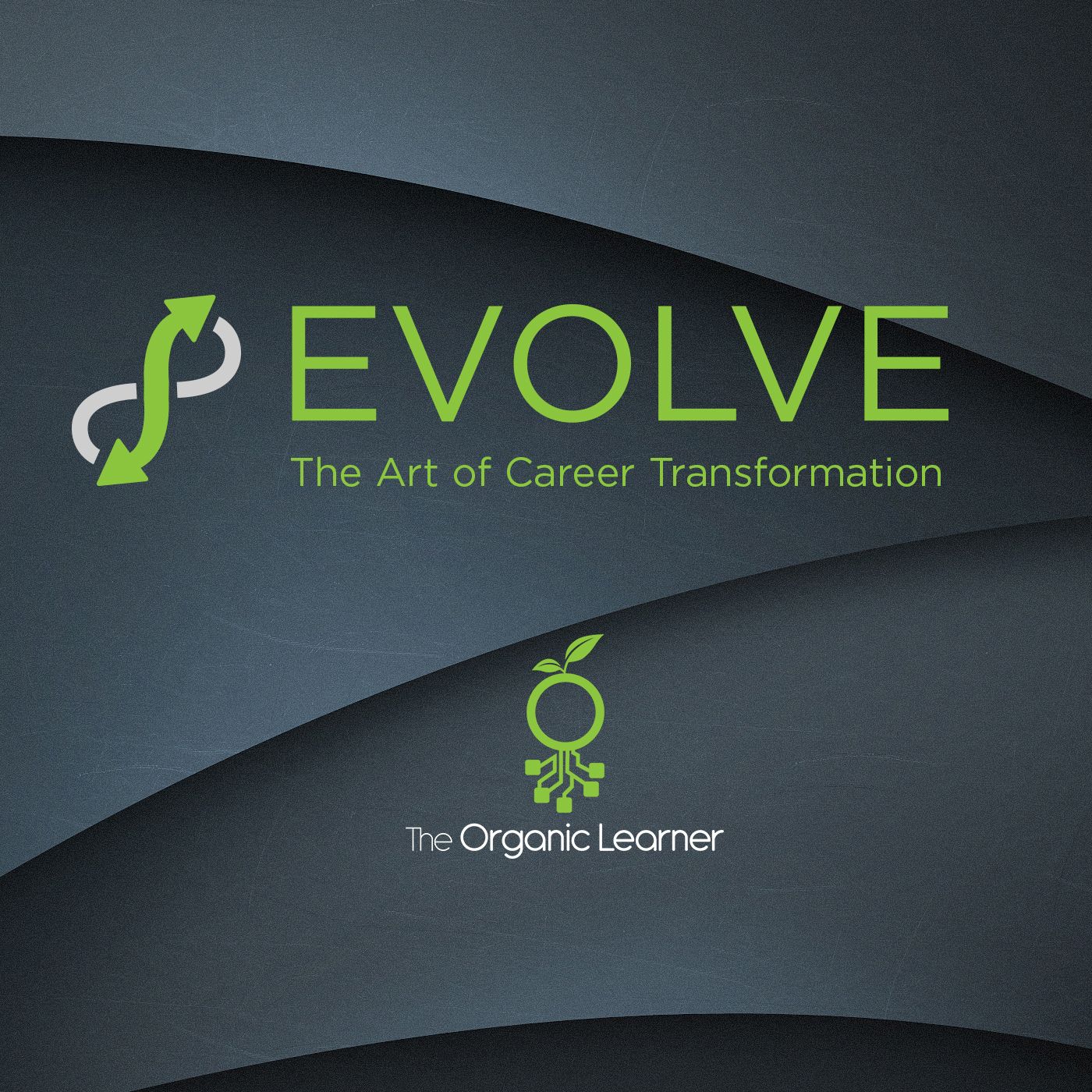 Evolve: The Art of Career Transformation