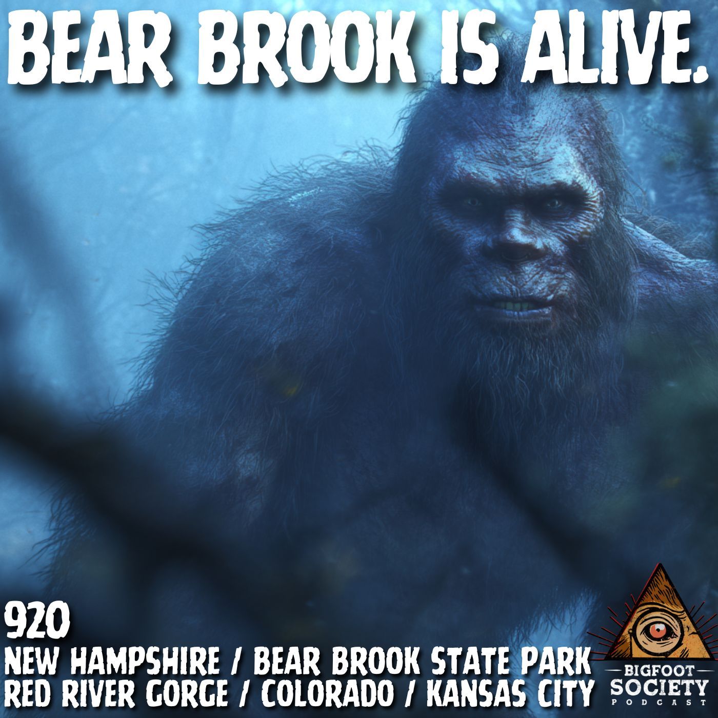 Bear Brook is ALIVE! | New Hampshire