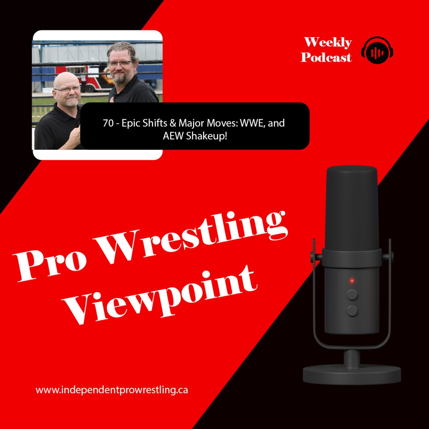Pro Wrestling Viewpoint