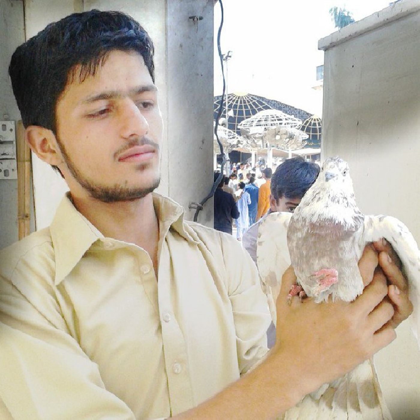 Mian Luqman Mehar\'s podcast