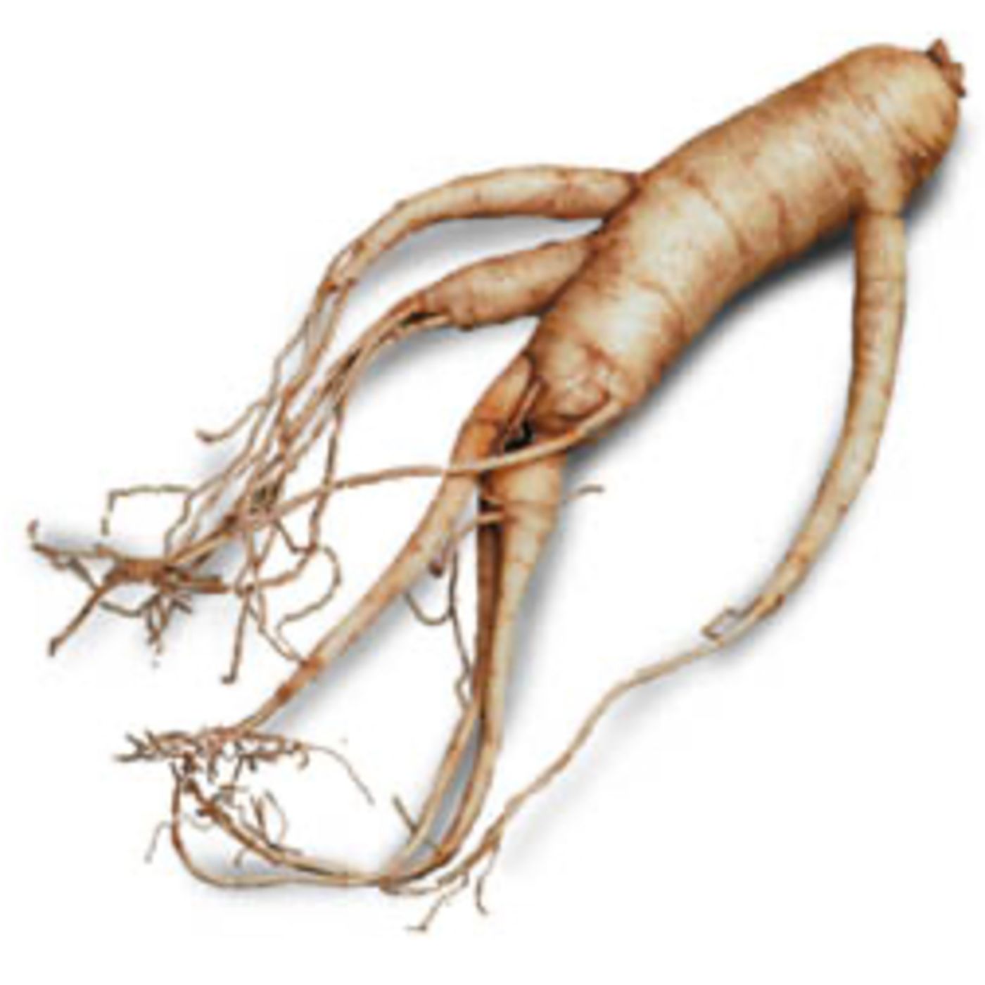 Ginseng & heilsame Wirkungen