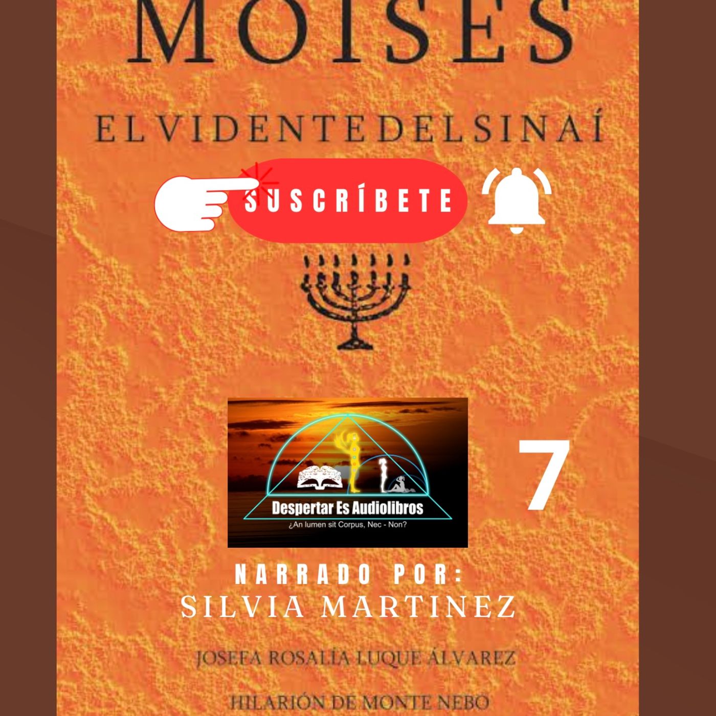 La Voz Interior. Silvia Martínez1