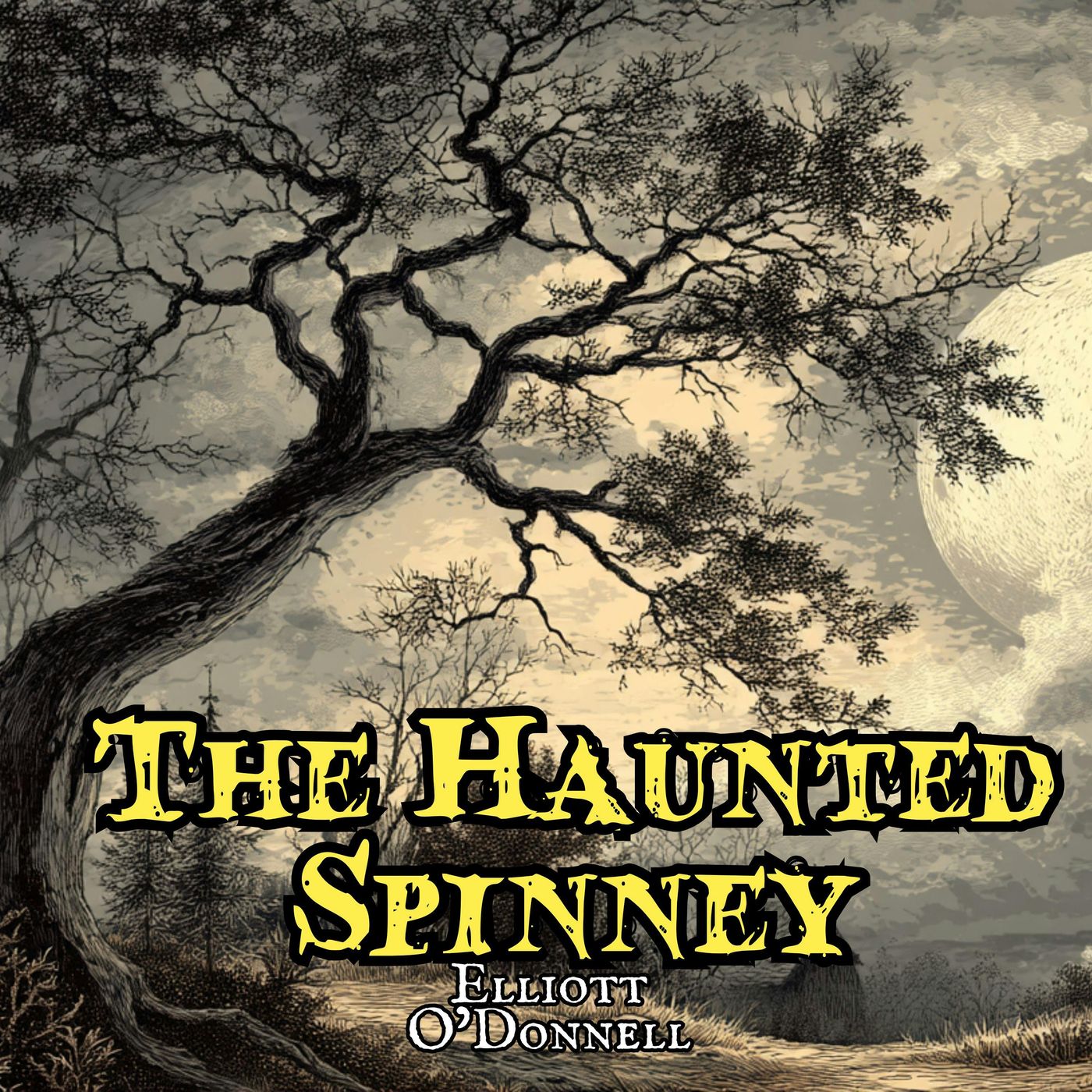 The Haunted Spinney by Elliott O'Donnell