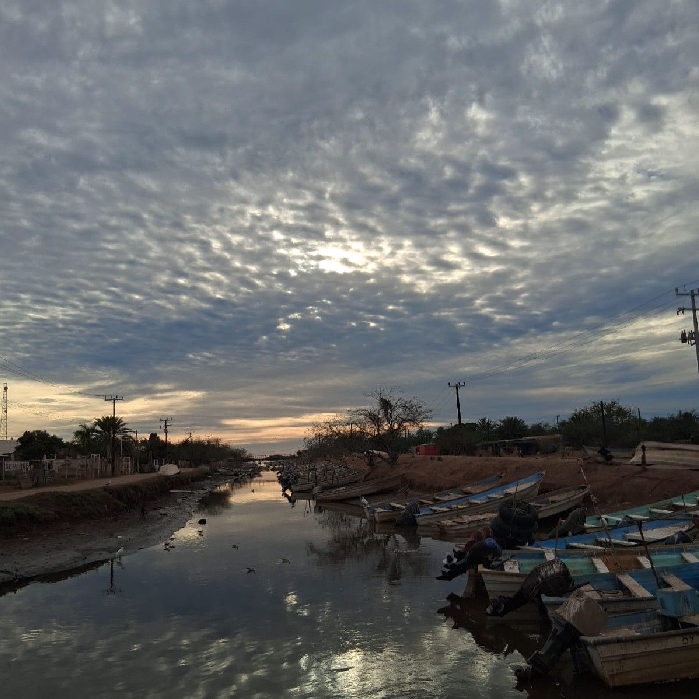 "La Pesaca En Bahia De Lobos" cover art