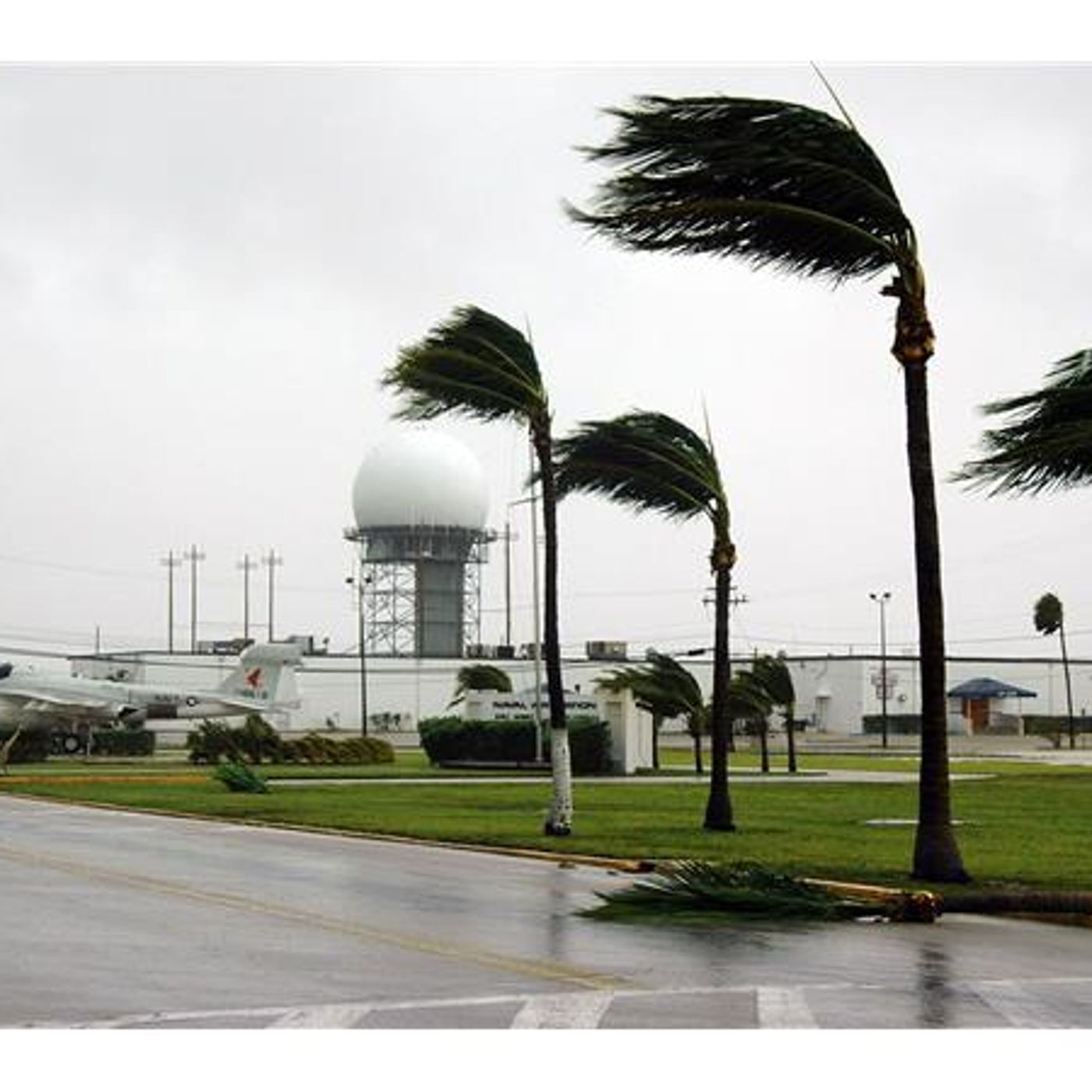 Survival Medicine Hour: Hurricanes, Cough Remedies, Styes, More