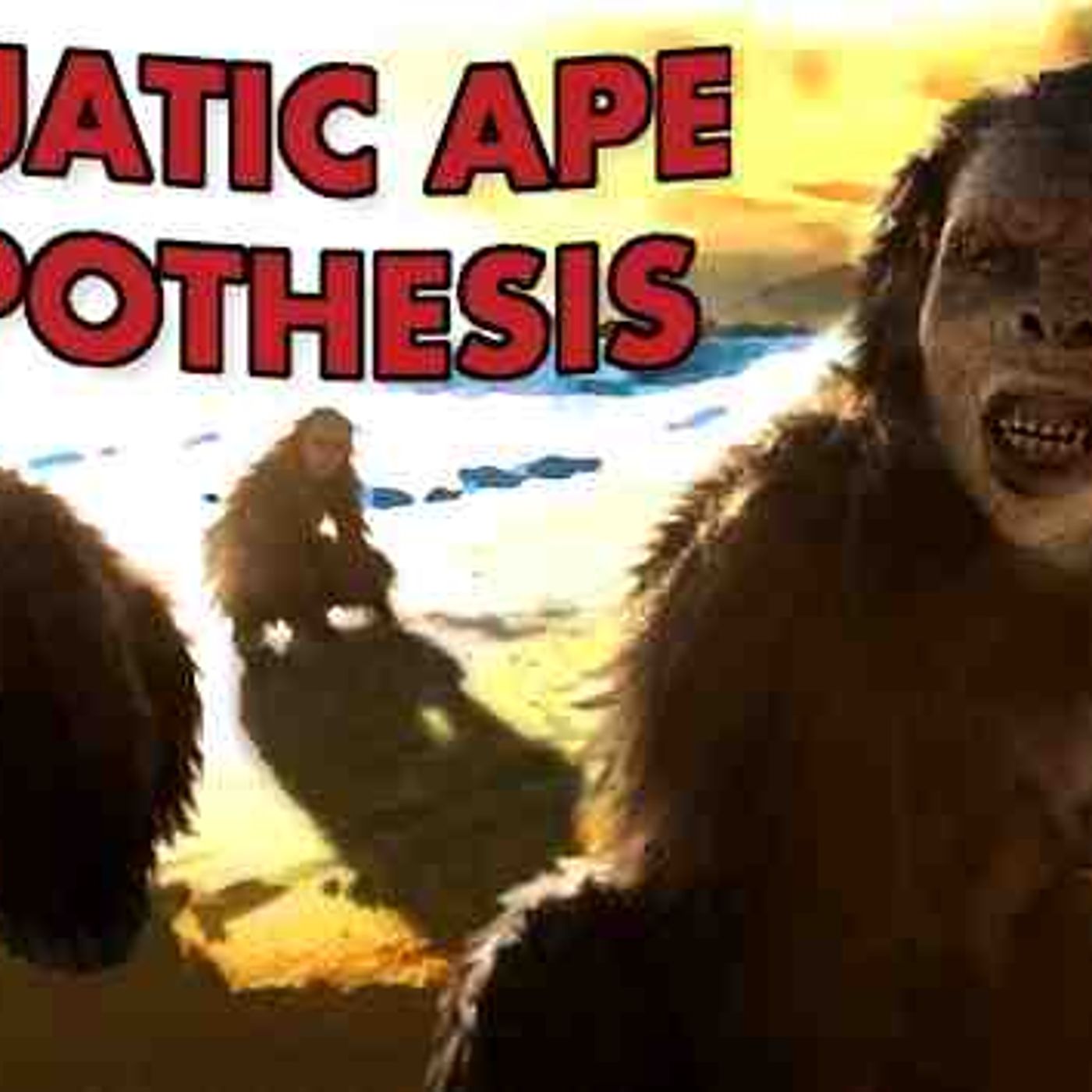 The Most Bizarre Idea in Human Evolution - The Aquatic Ape Hypothesis episode artwork