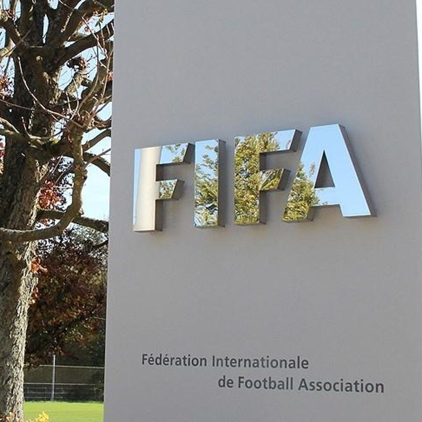 Chapuza de la FIFA. Se aprueba la Ley Wenger episode artwork