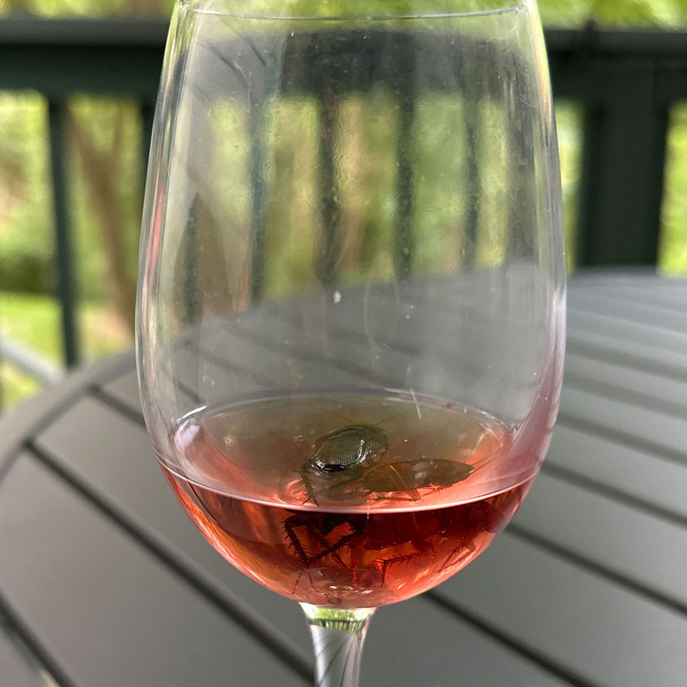 FULL SHOW: From Gross Glassware to Duryan Double-Trouble (+Elia Live From Venice)!