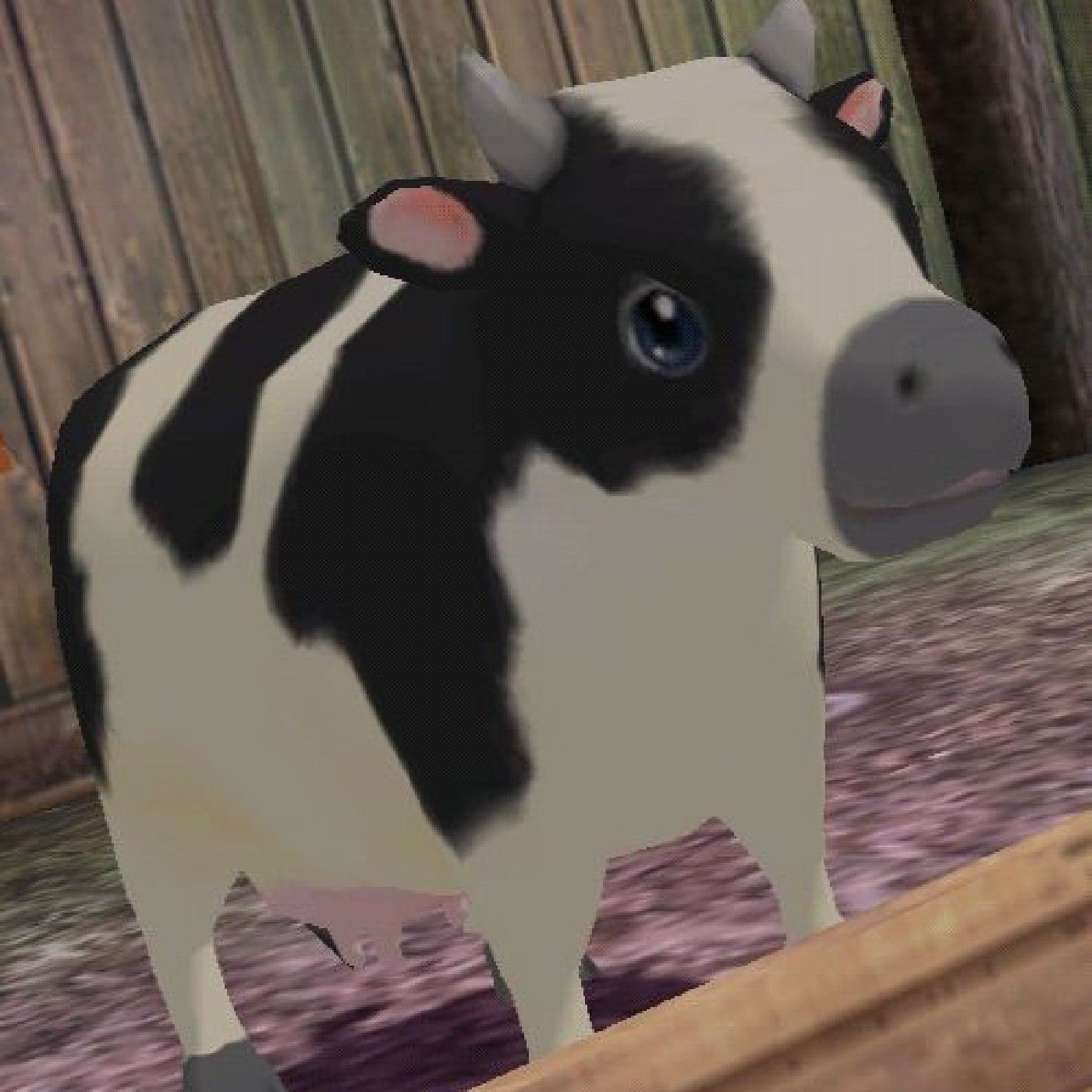 Veterinaria 🐄