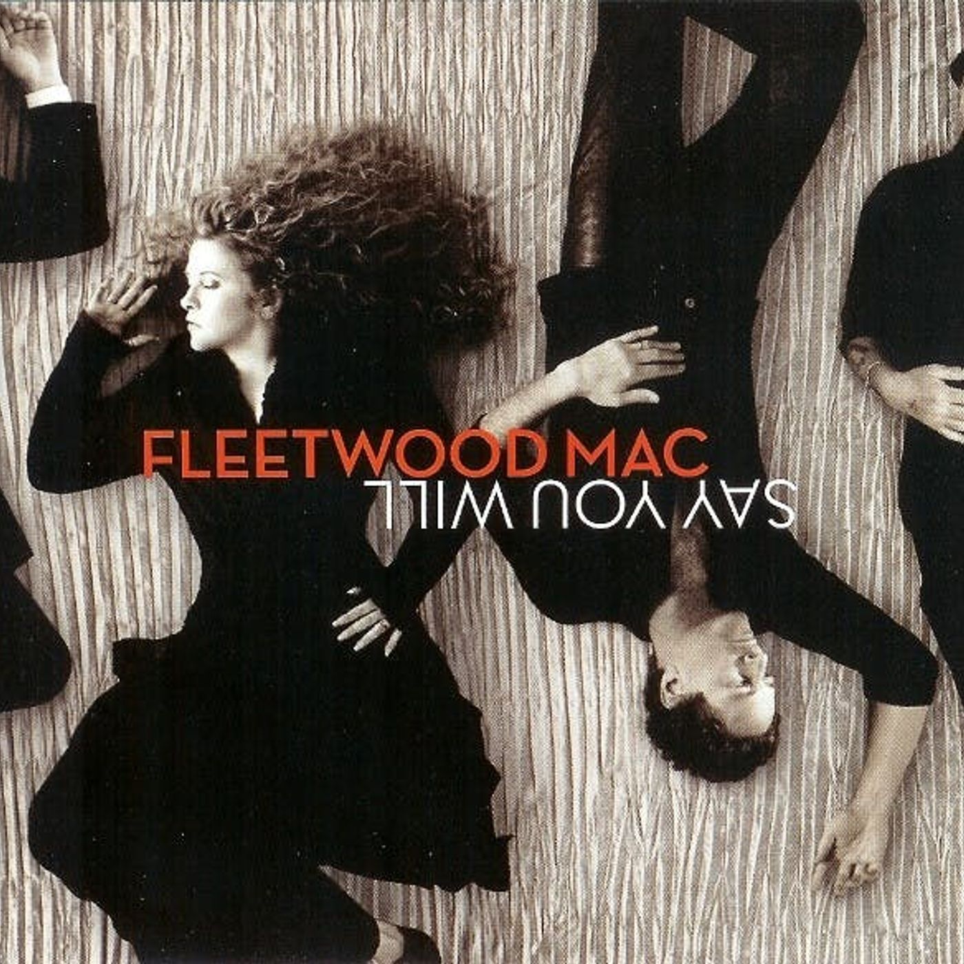 17. DAY BY DAY: FLEETWOOD MAC - SAY YOU WILL episode artwork