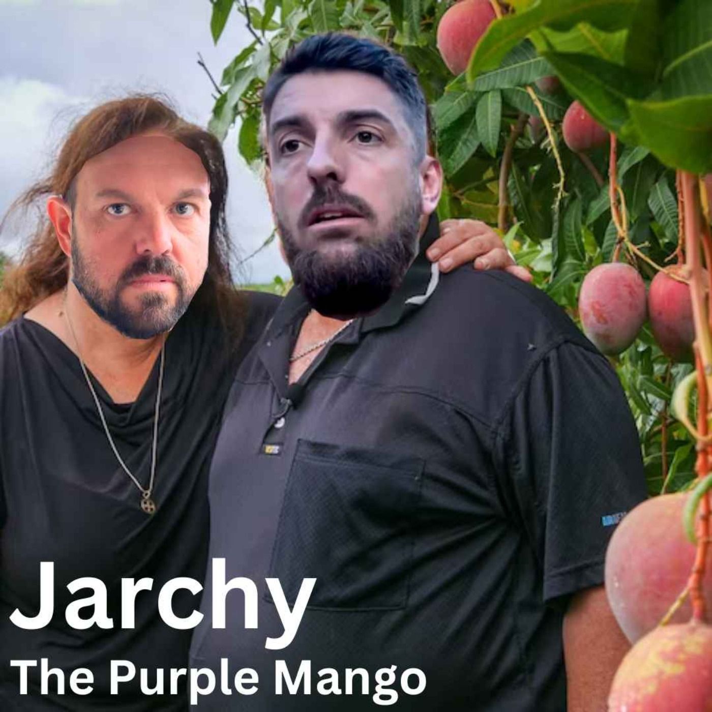Jarchy : The Purple Mango