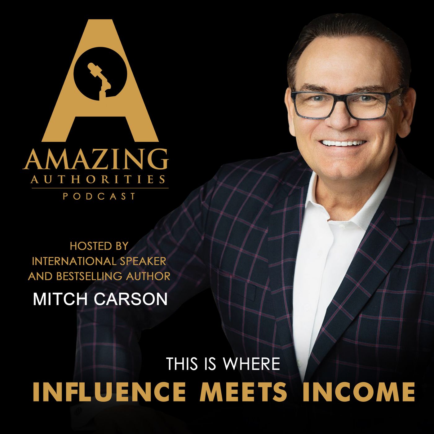 The Amazing Authorities Podcast