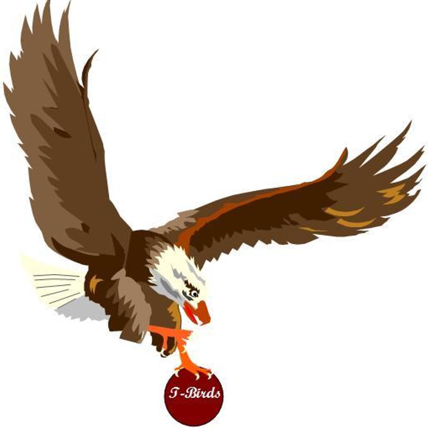 SSS: TRARALGON T-BIRDS CBL WOMENS BASKETBALL 060218 episode artwork