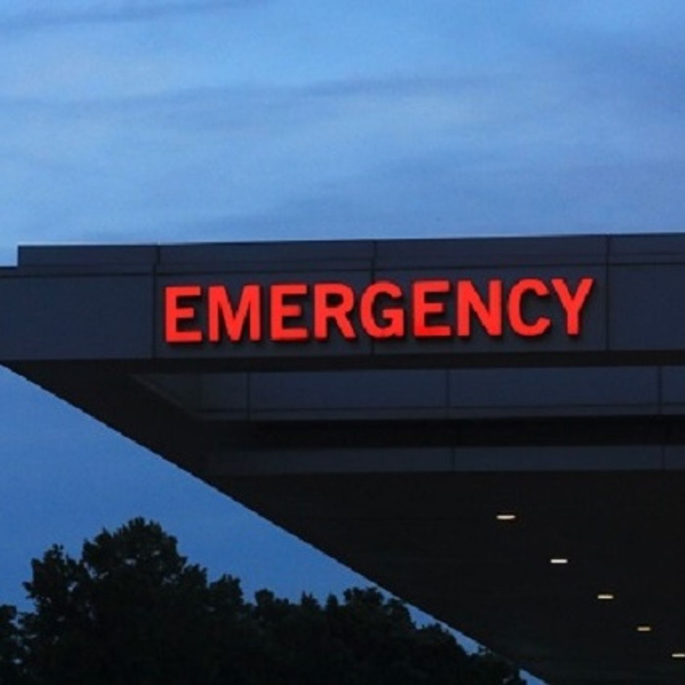 (Smile File) Boy Who Paid Attention During Field Trip Possibly Saved His Father's Life