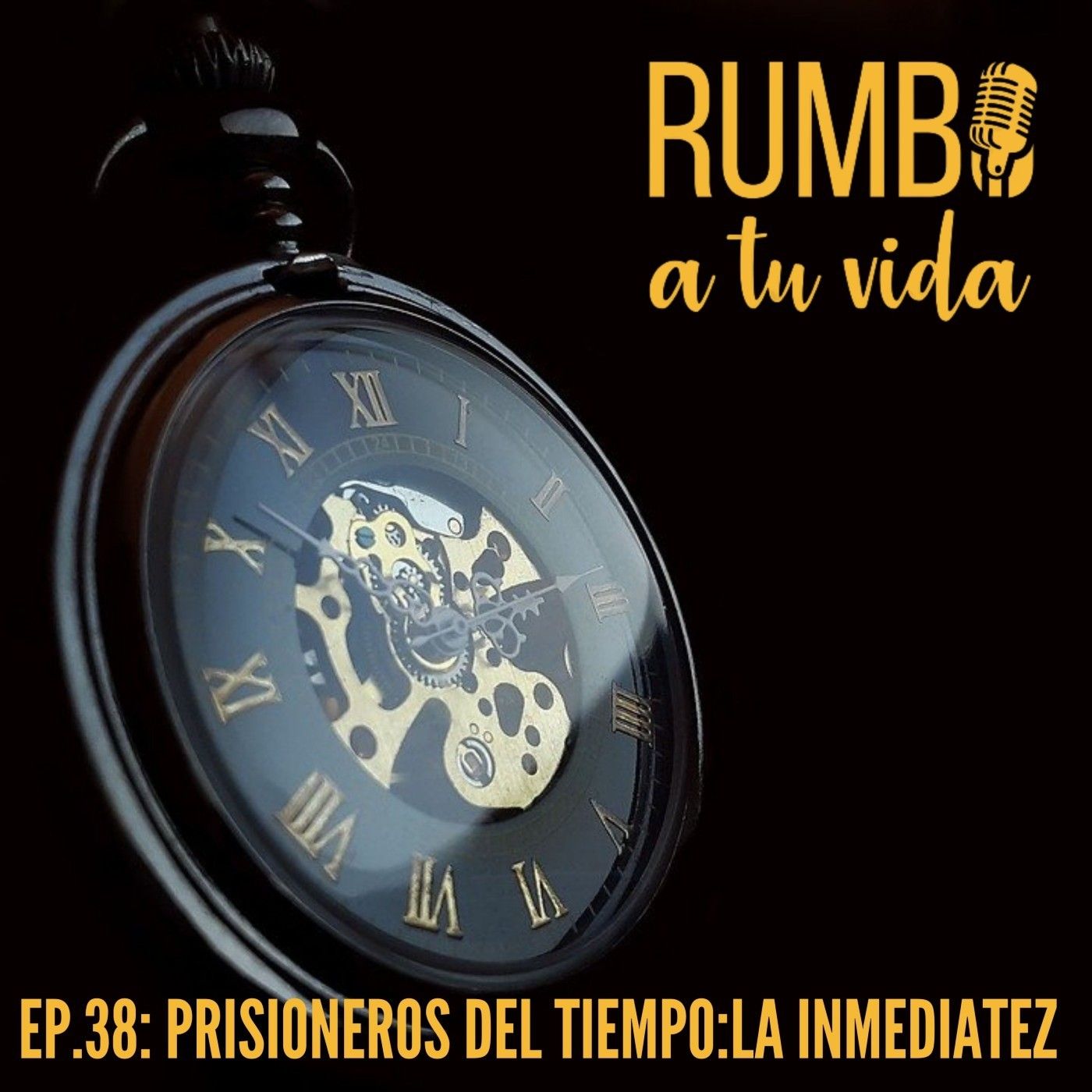 RUMBO A TU VIDA