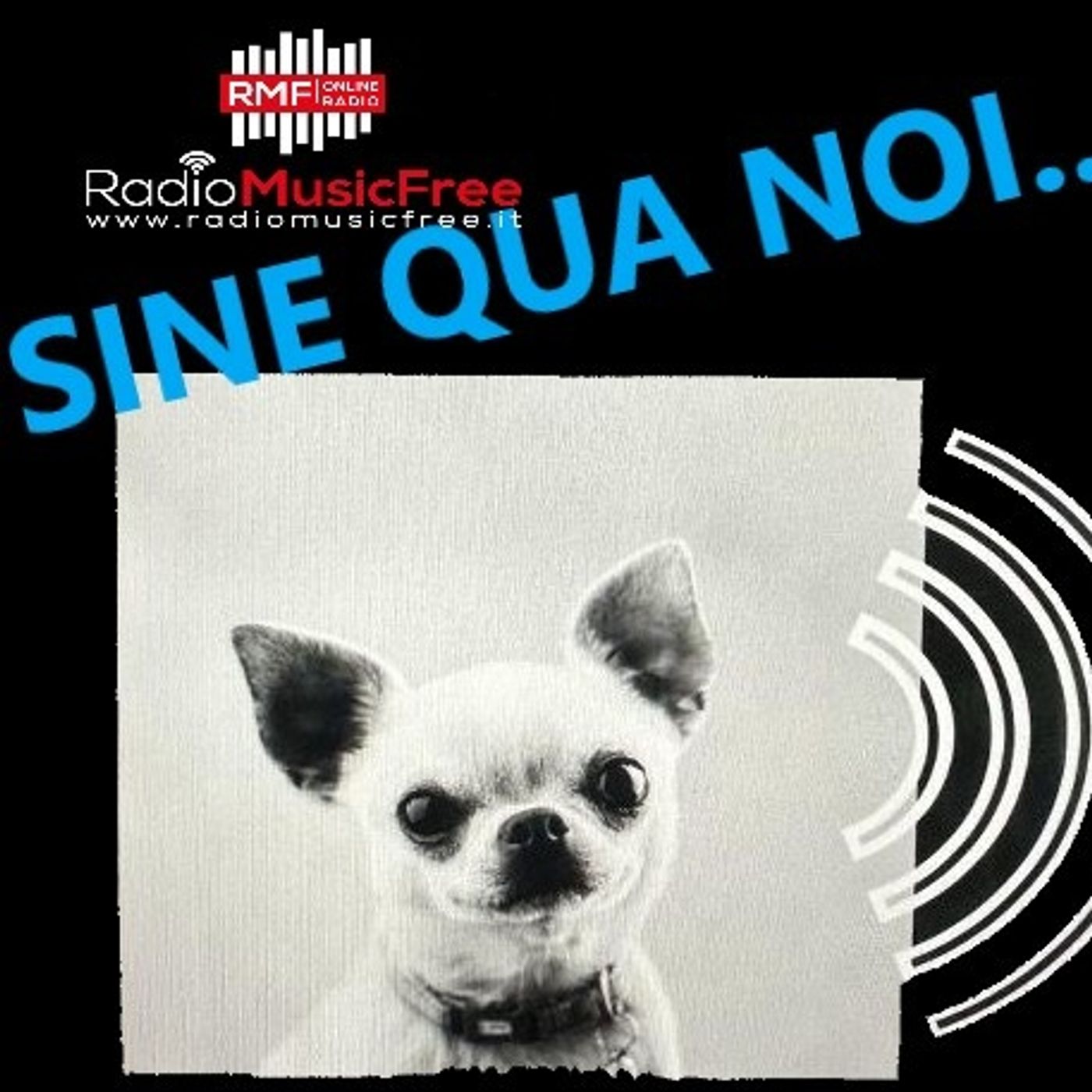 SINE QUA NOI .... essere  dire fare
