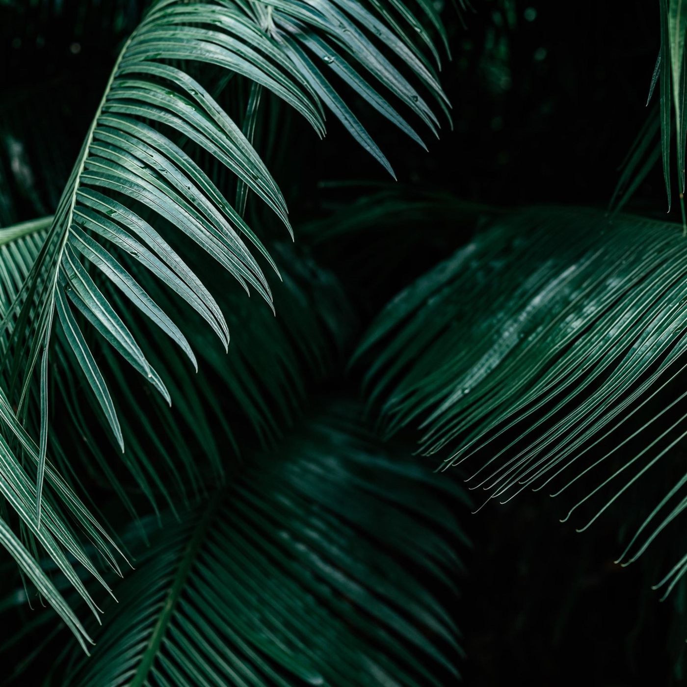 Sleep Sounds by Tmsoft