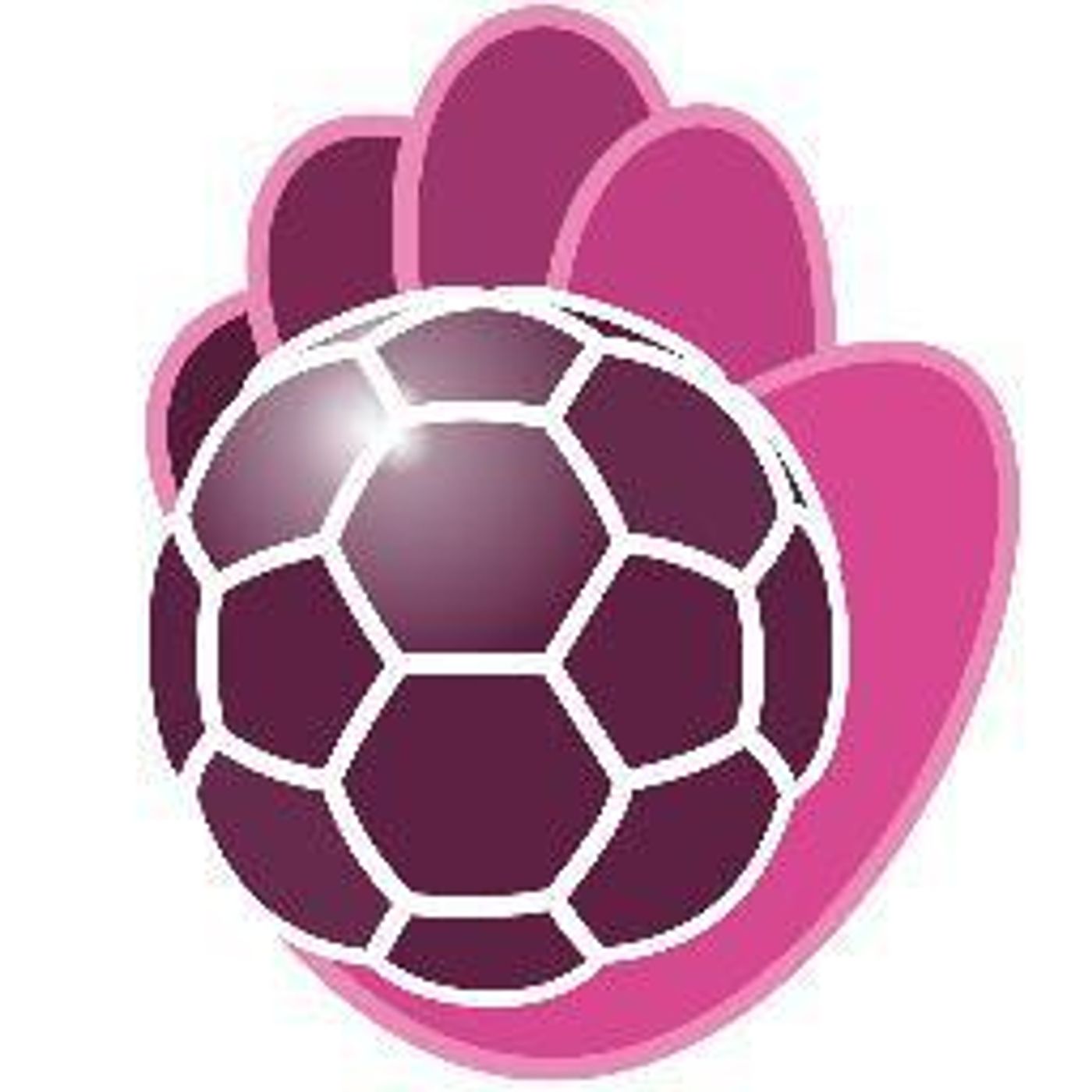 Quabit BM Guadalajara Temporada 19-20