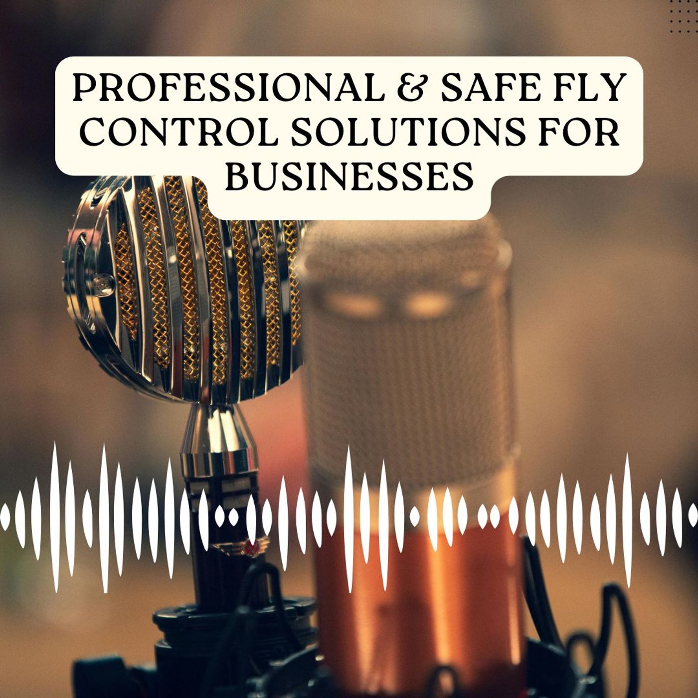 Professional & Safe Fly Control Solutions for Businesses episode artwork