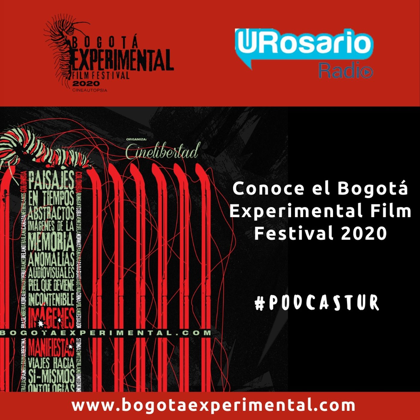 Bogotá Experimental Film Festival 2020 episode artwork