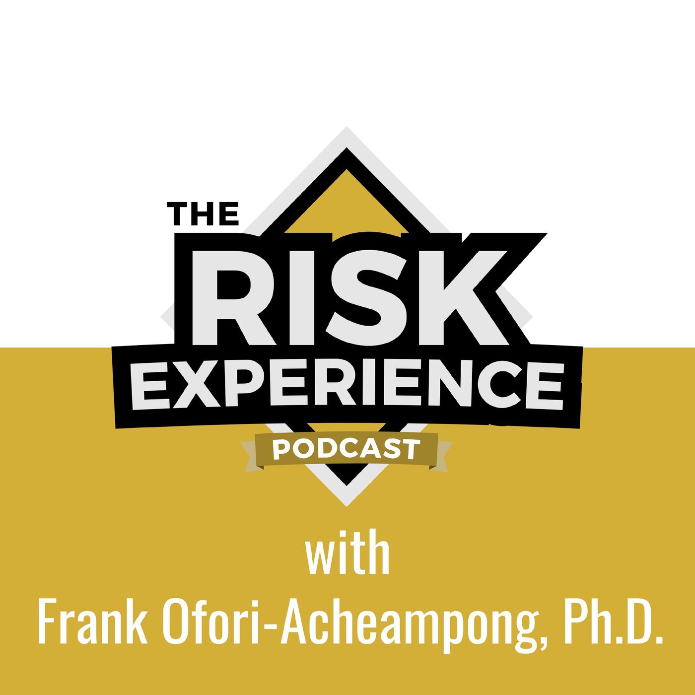 The Risk Experience Podcast