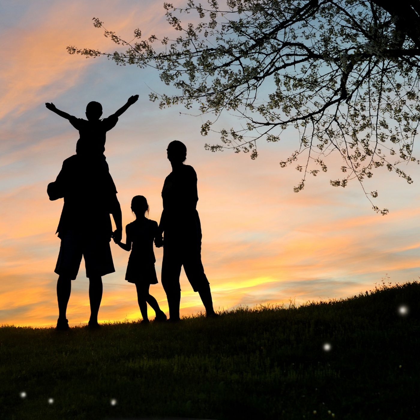 Può un’anima reincarnarsi nella stessa famiglia?