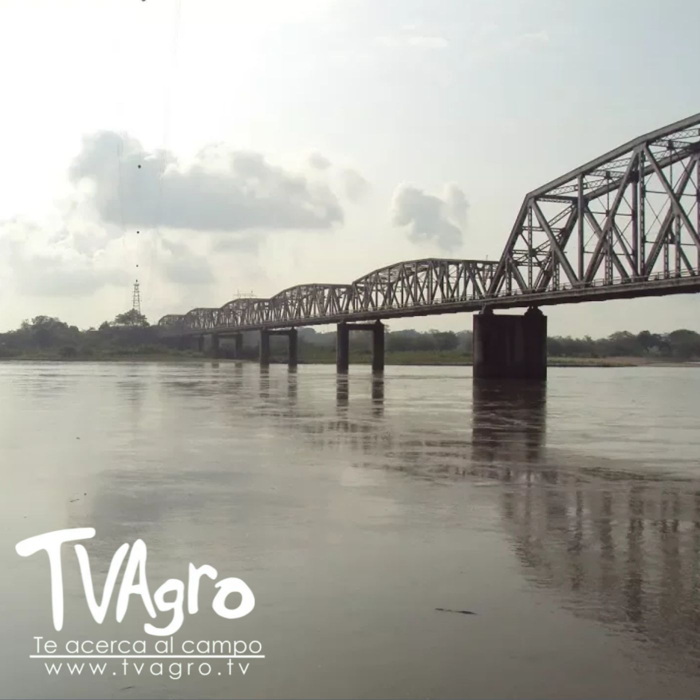 TV AGRO