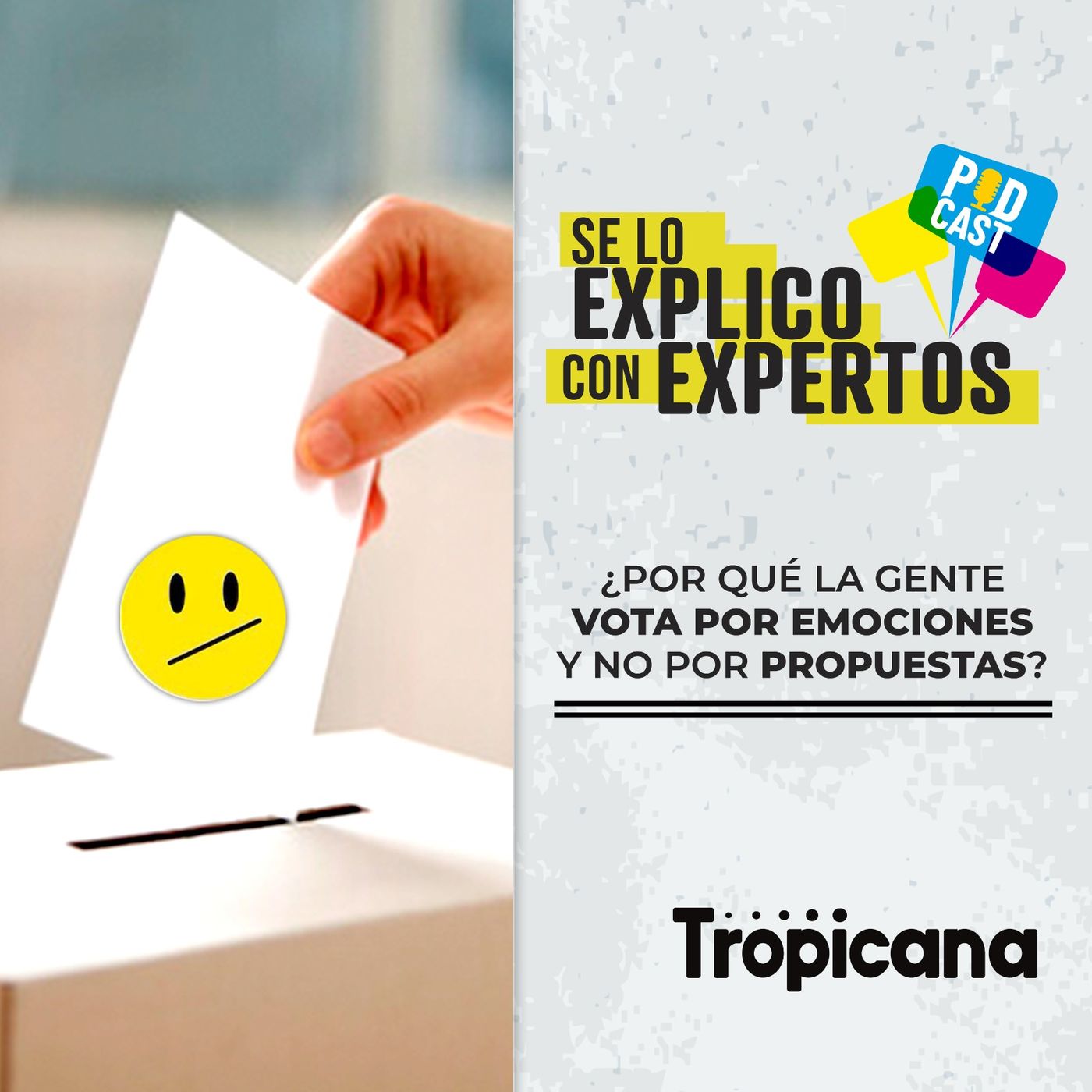 ¿Cómo influye la emocionalidad en el voto? episode artwork