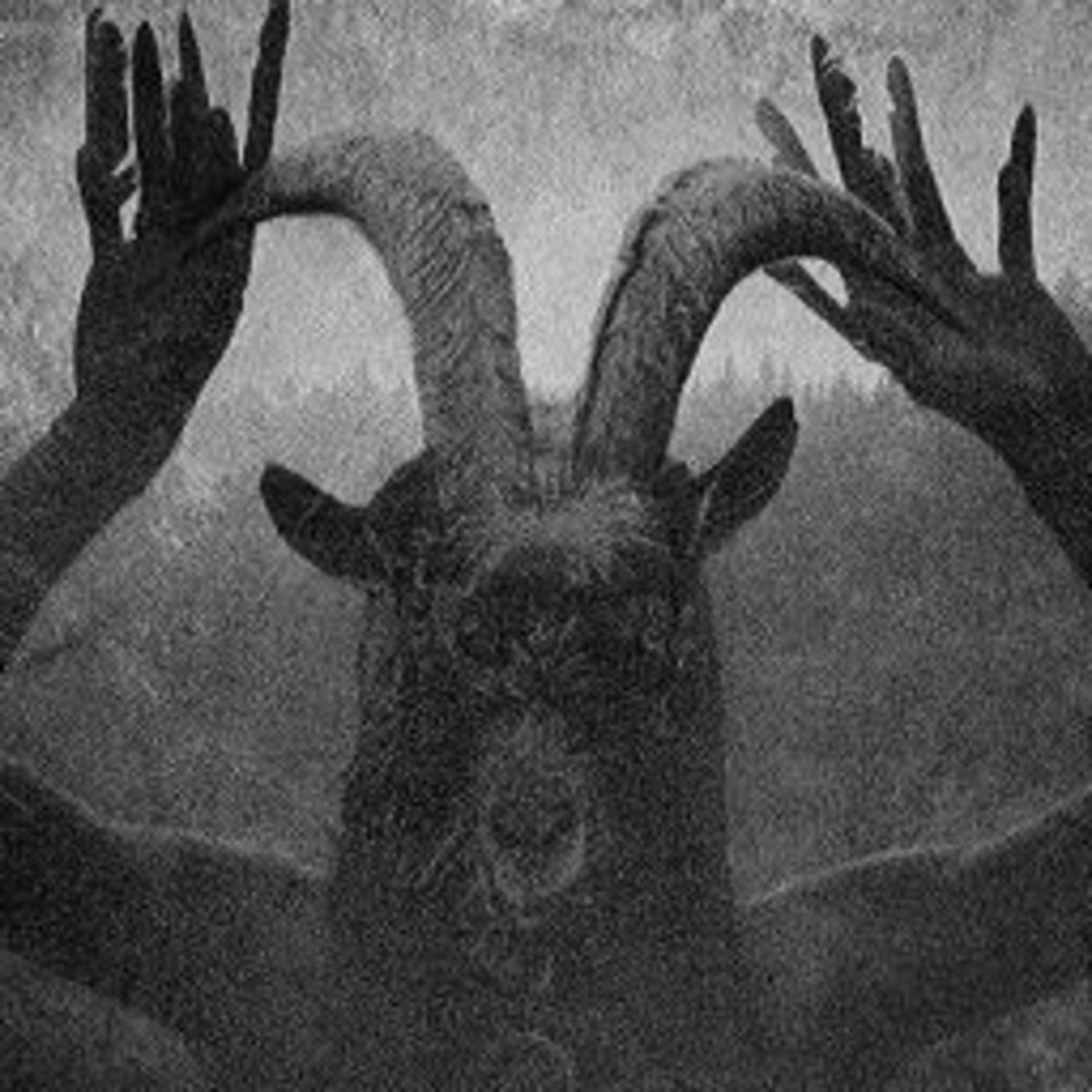 OPINANDO (ST R U N K )