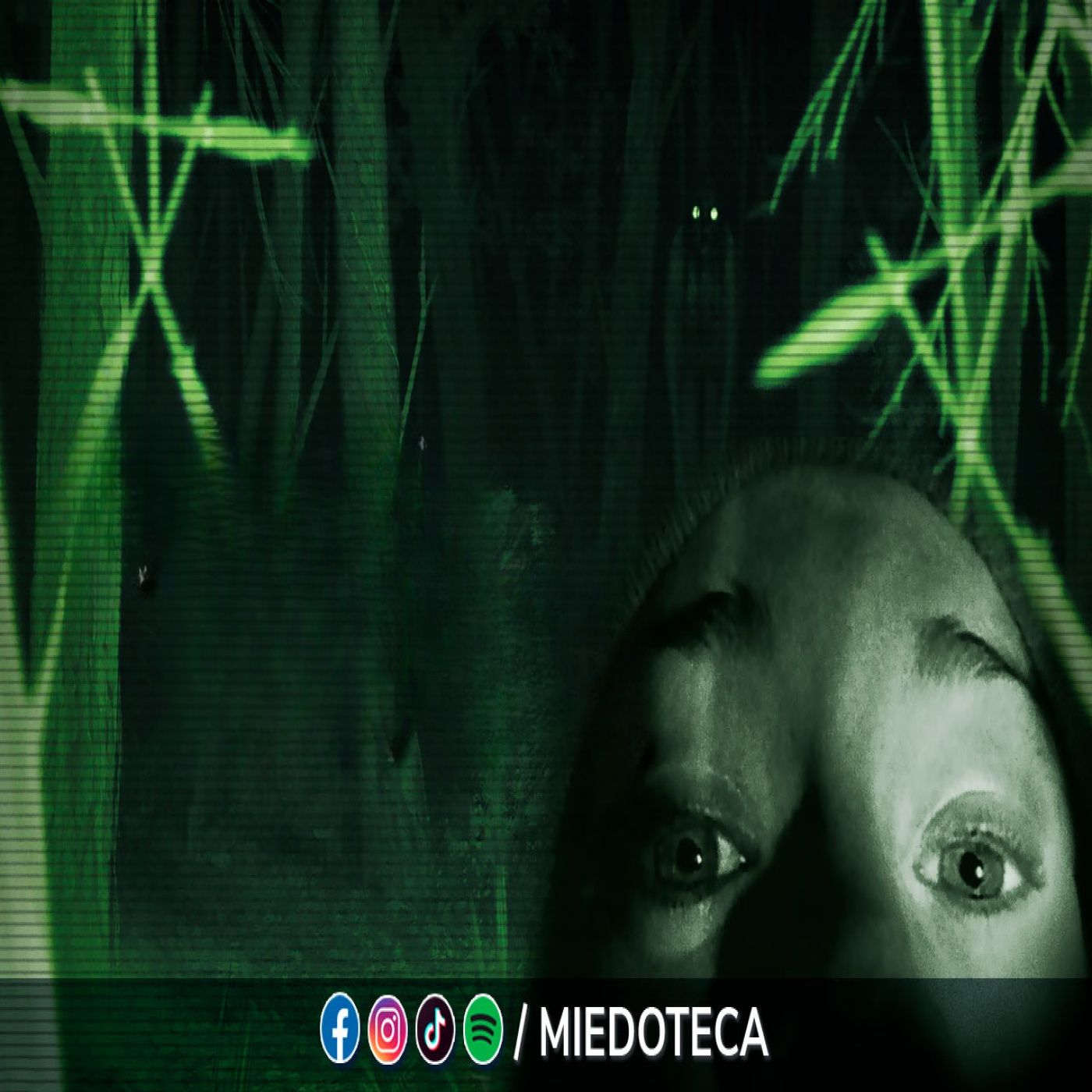 Miedoteca
