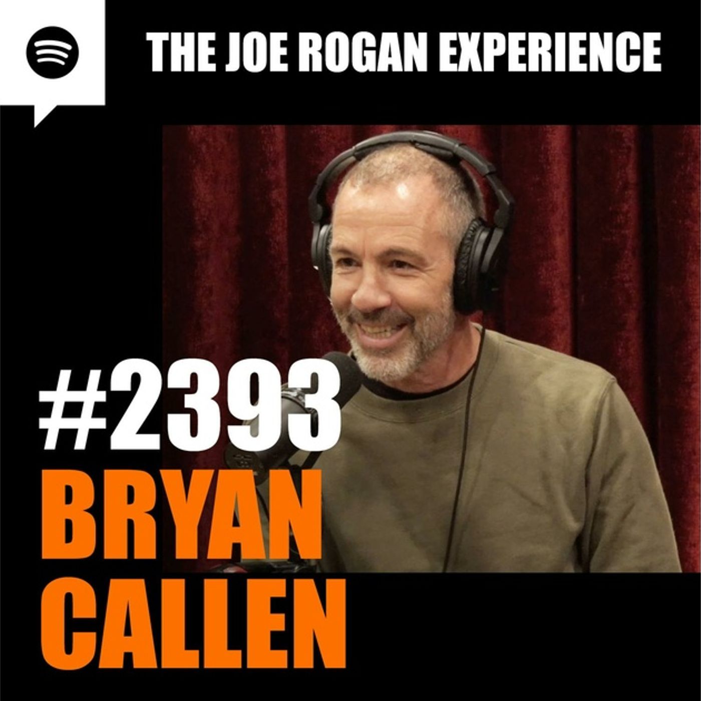Joe Rogan Experience _2393 - Bryan Callen